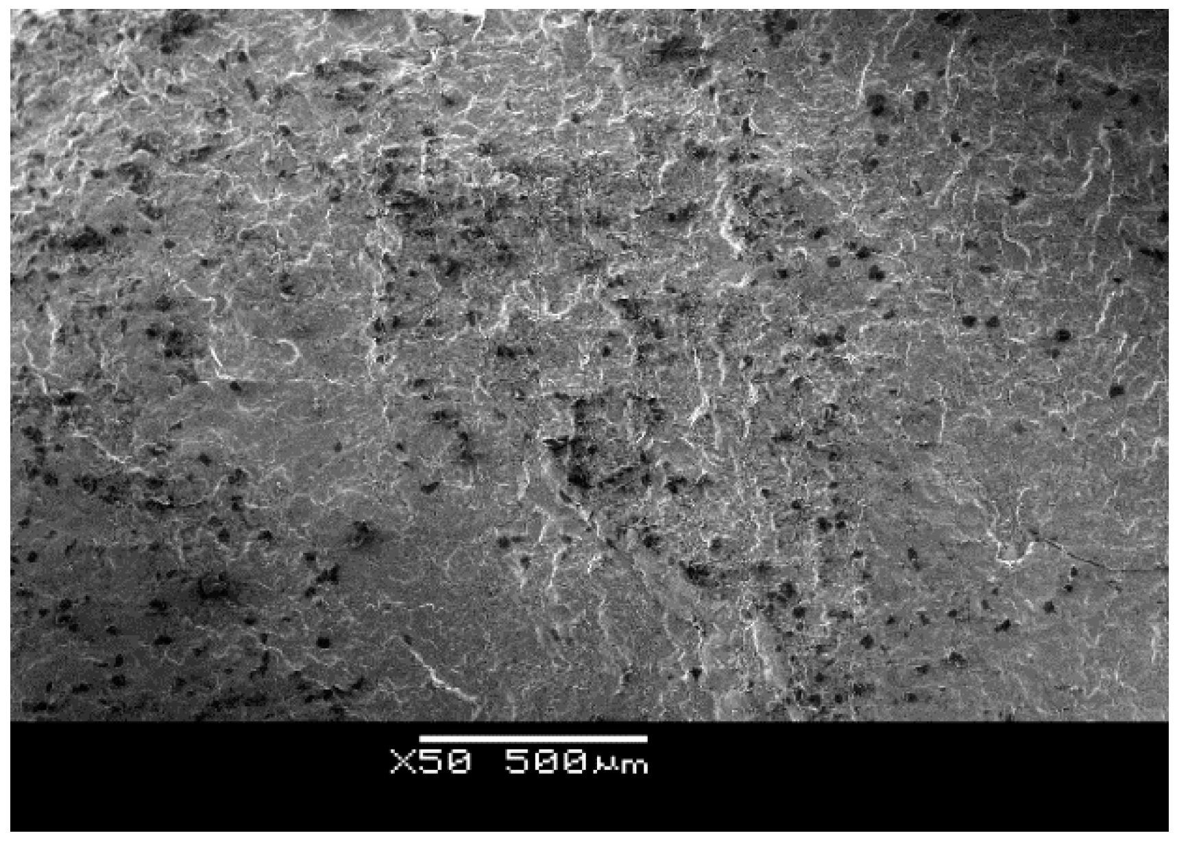 Applsci 11 06944 g006