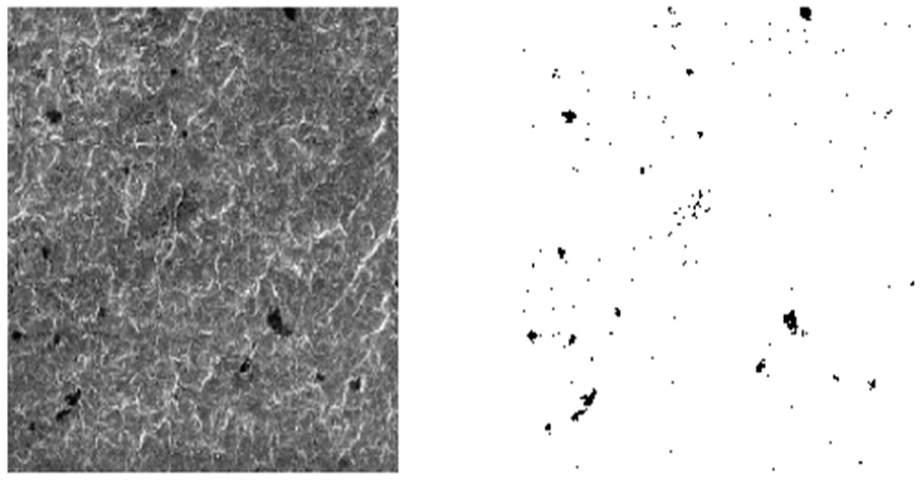 Applsci 11 06944 g007