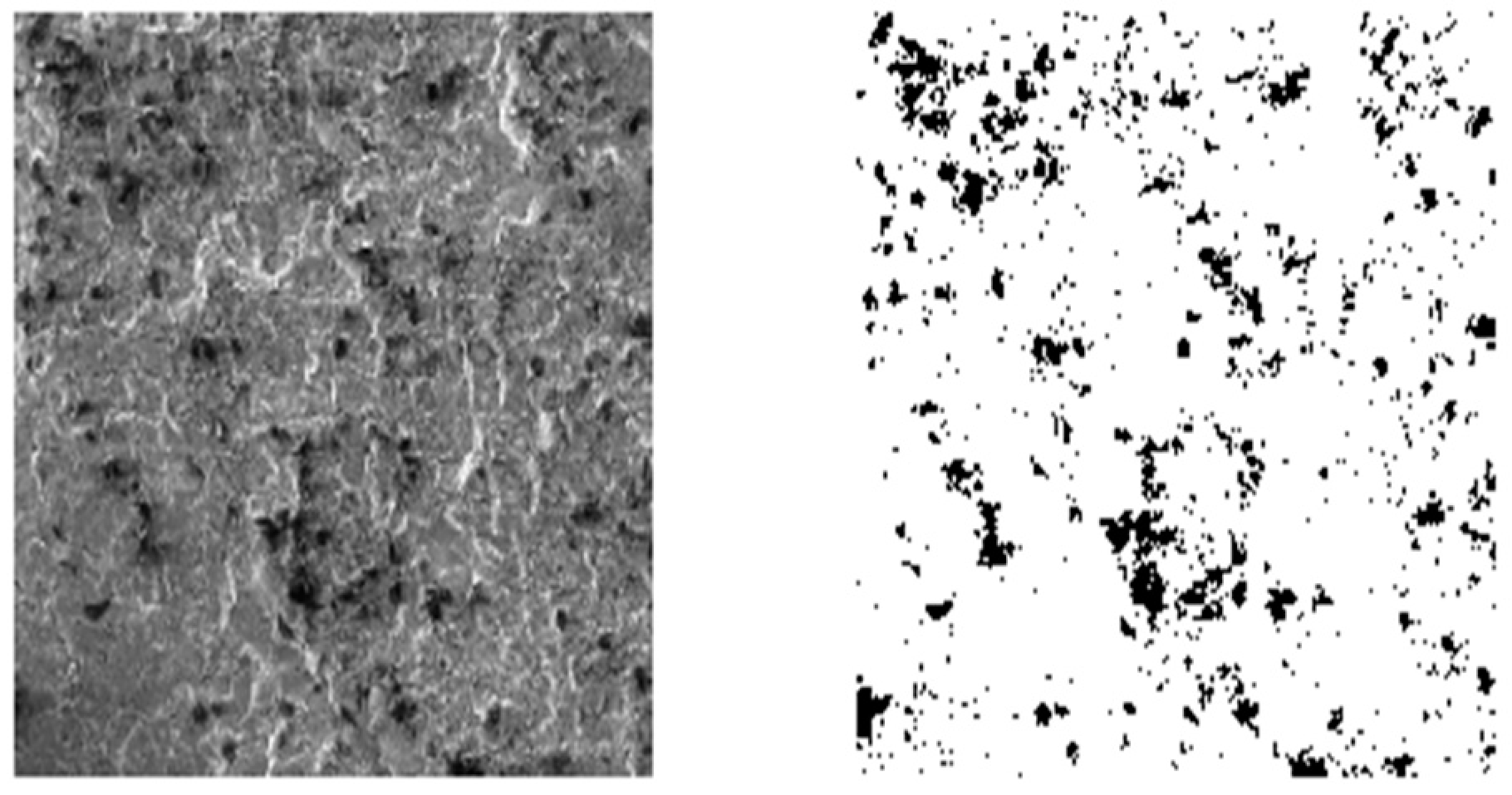 Applsci 11 06944 g008