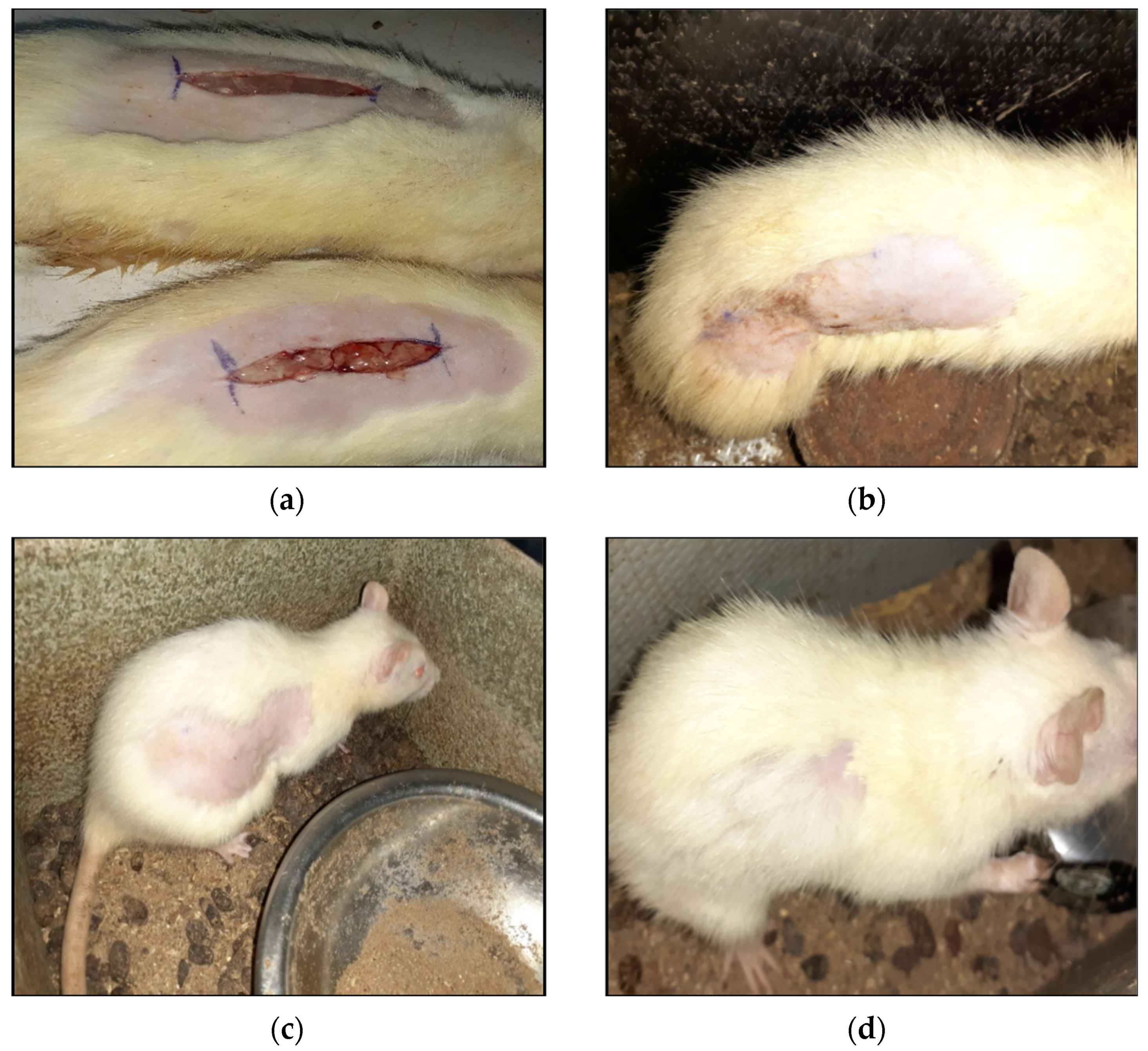 Applsci 11 06945 g003