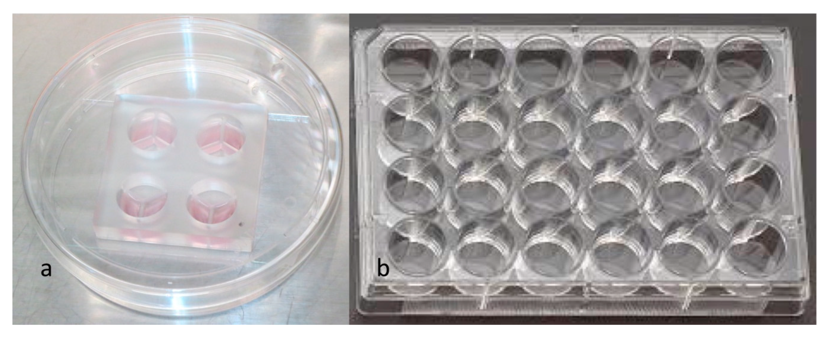 Applsci 11 06947 g004