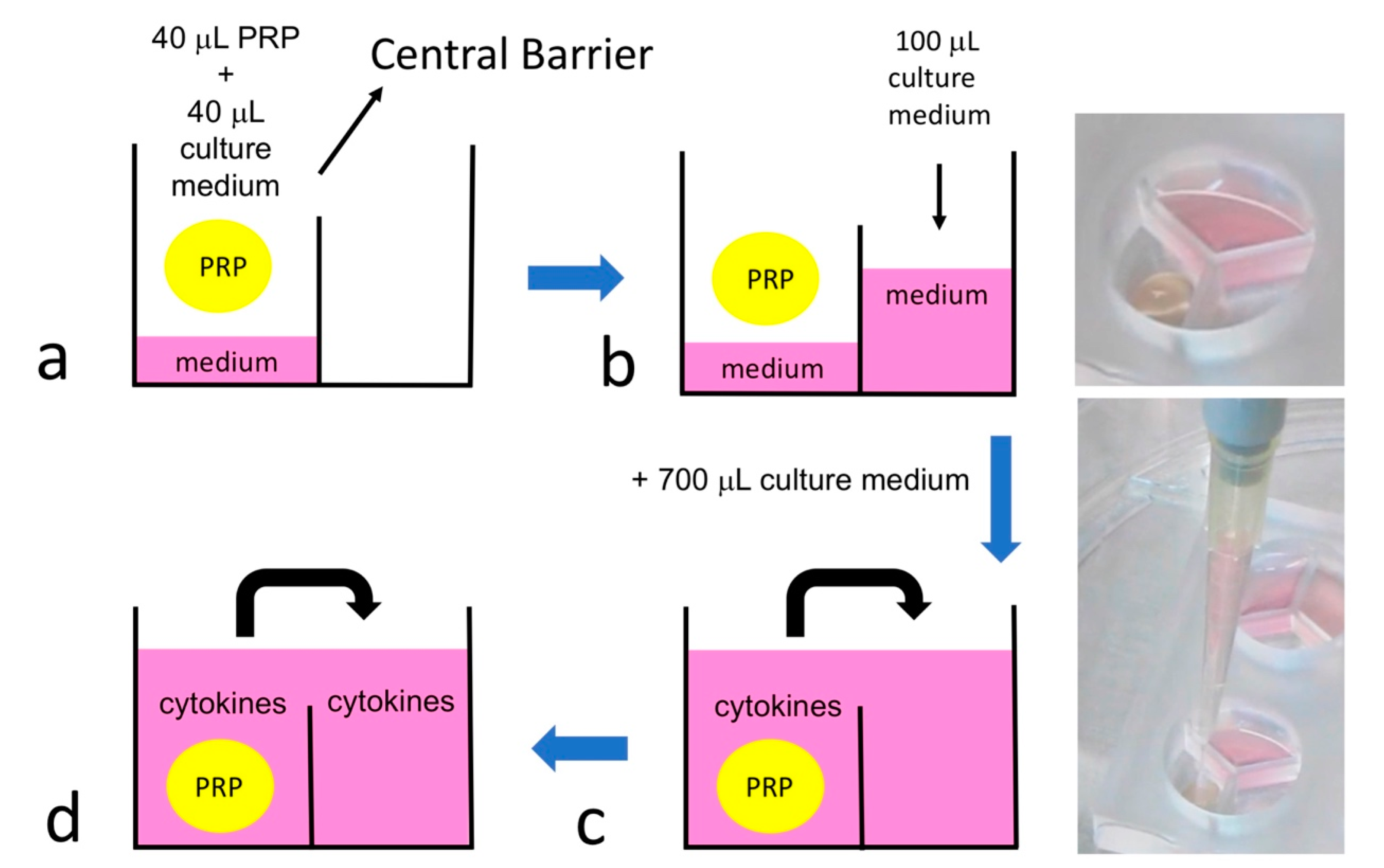 Applsci 11 06947 g005