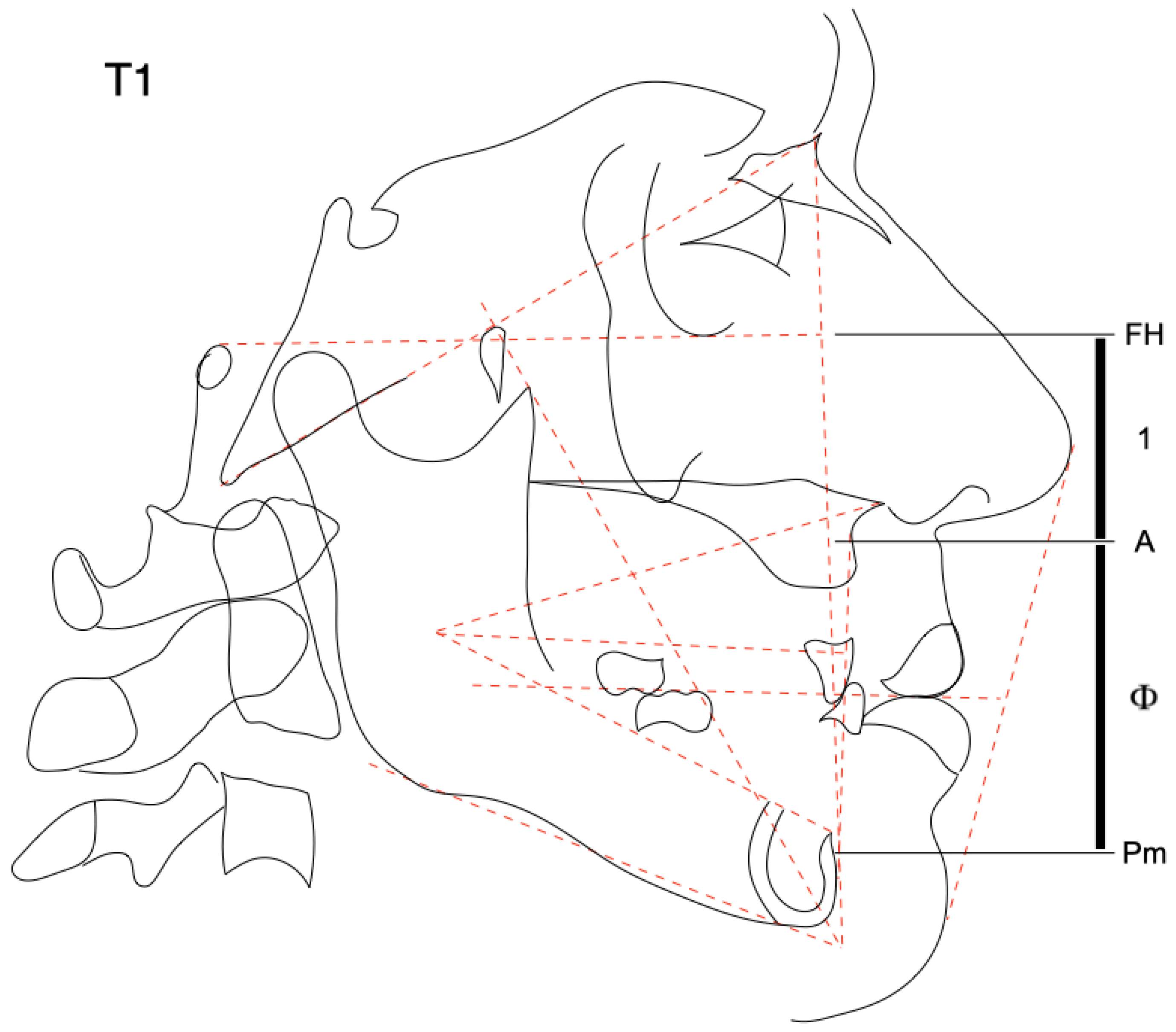 Applsci 11 06948 g005