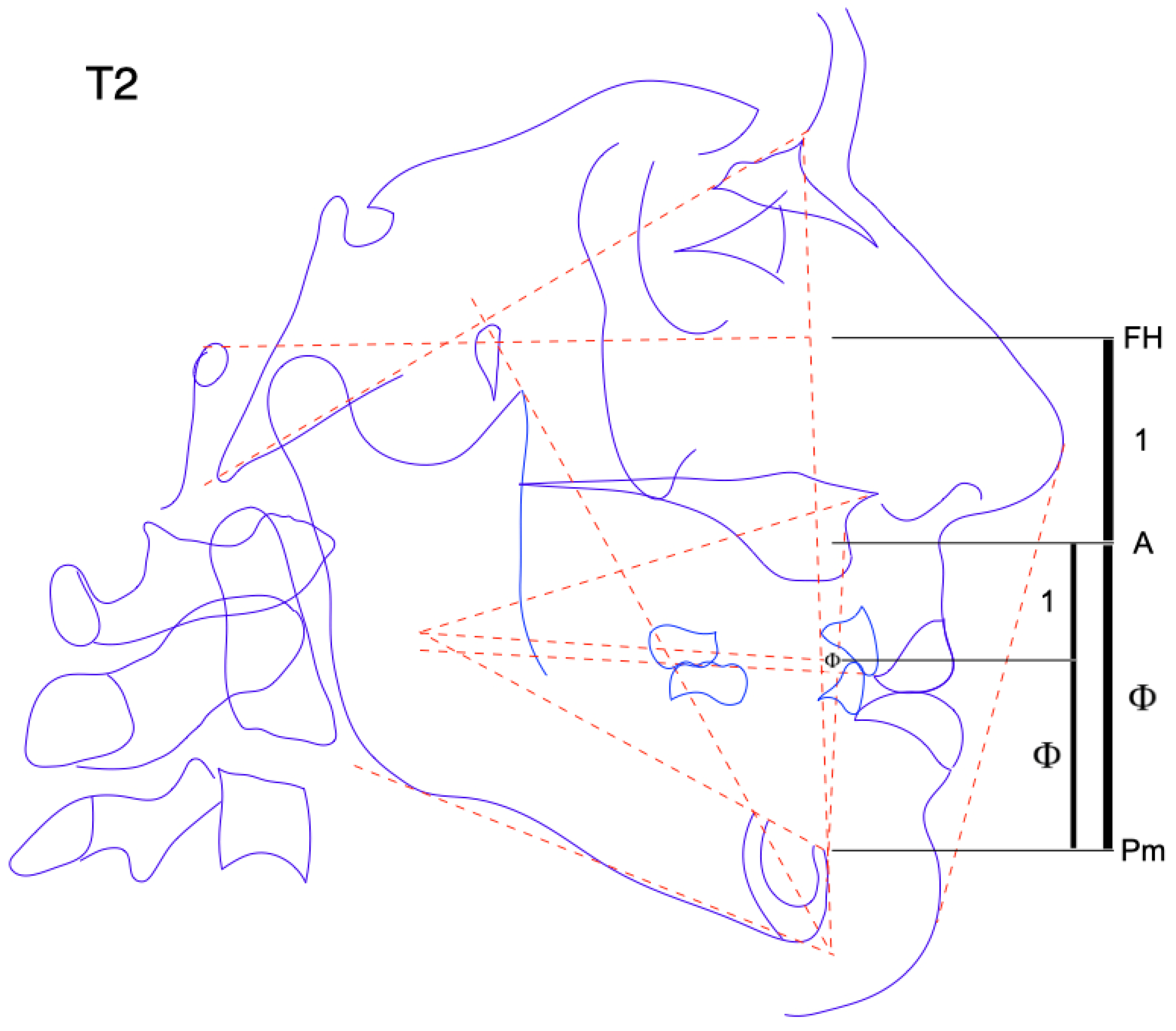 Applsci 11 06948 g006