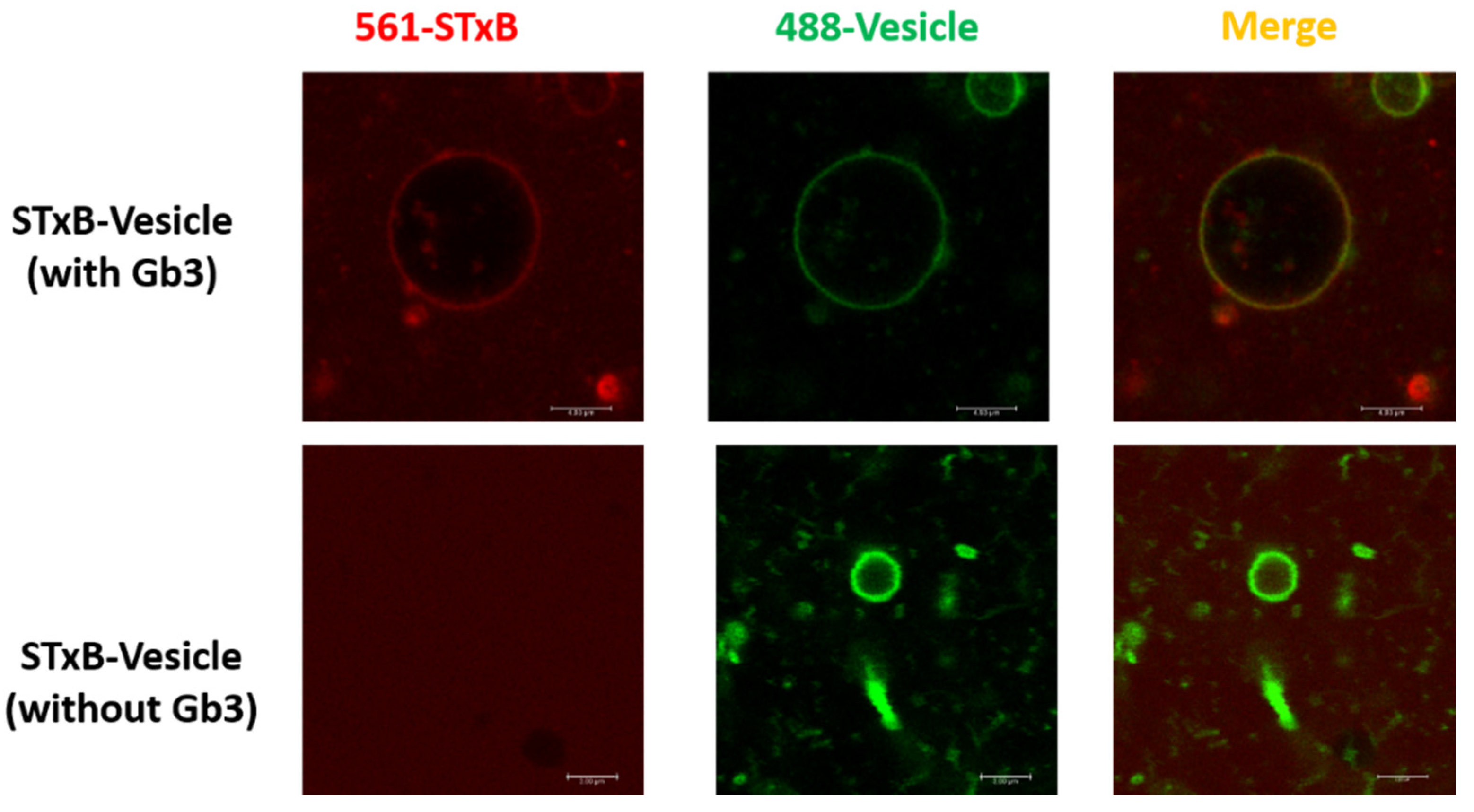 Applsci 11 06965 g001 Applsci 11 06965 g001