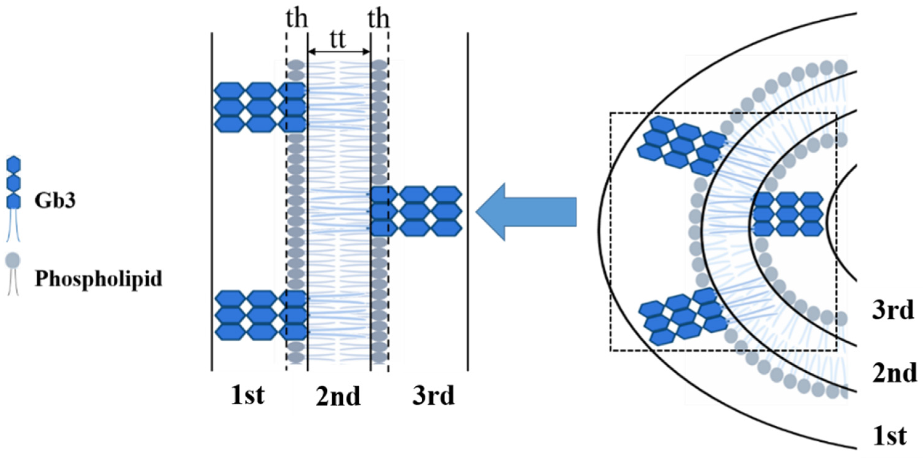 Applsci 11 06965 g004 Applsci 11 06965 g004