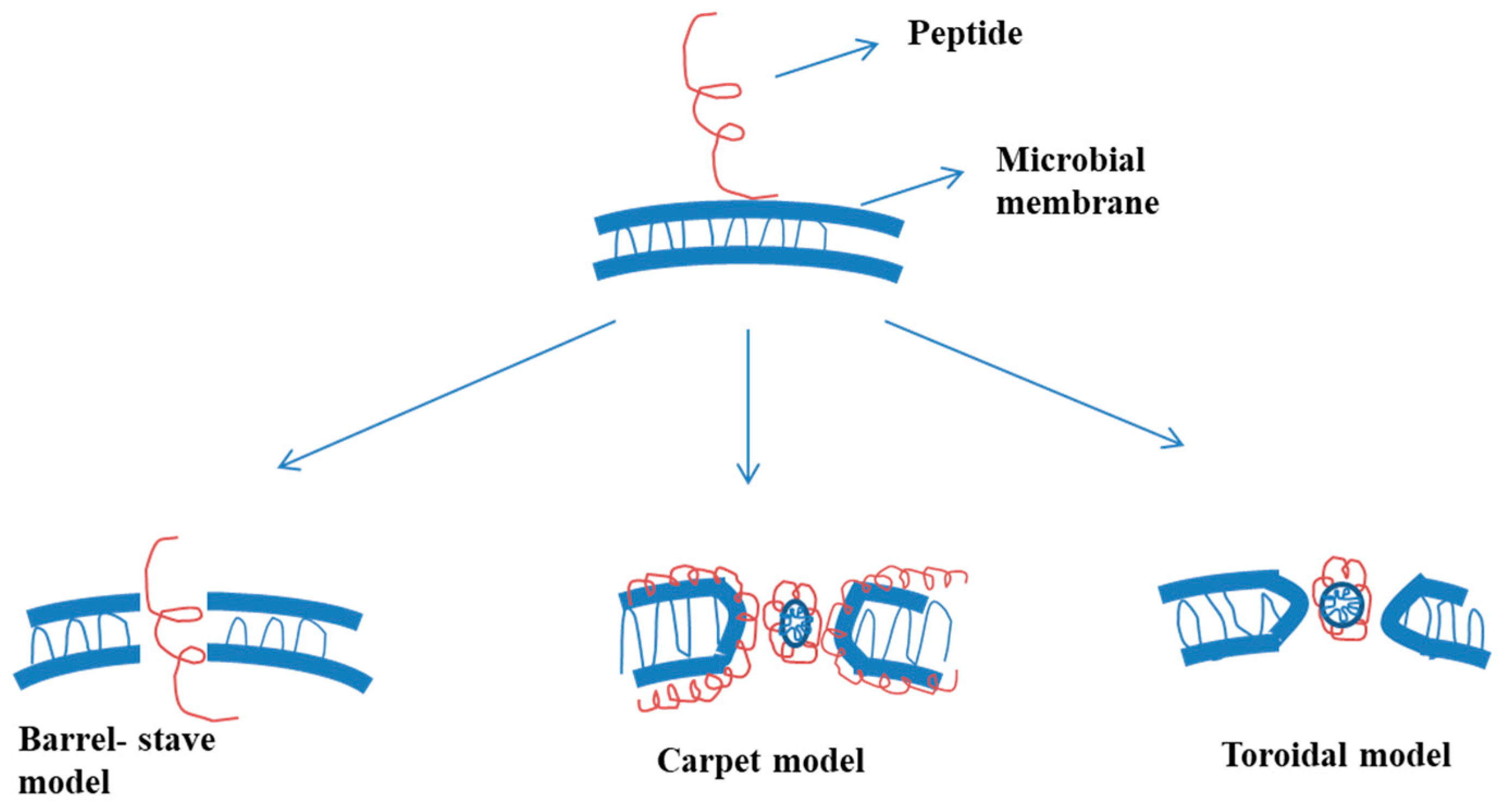 Applsci 11 06991 g003 Applsci 11 06991 g003