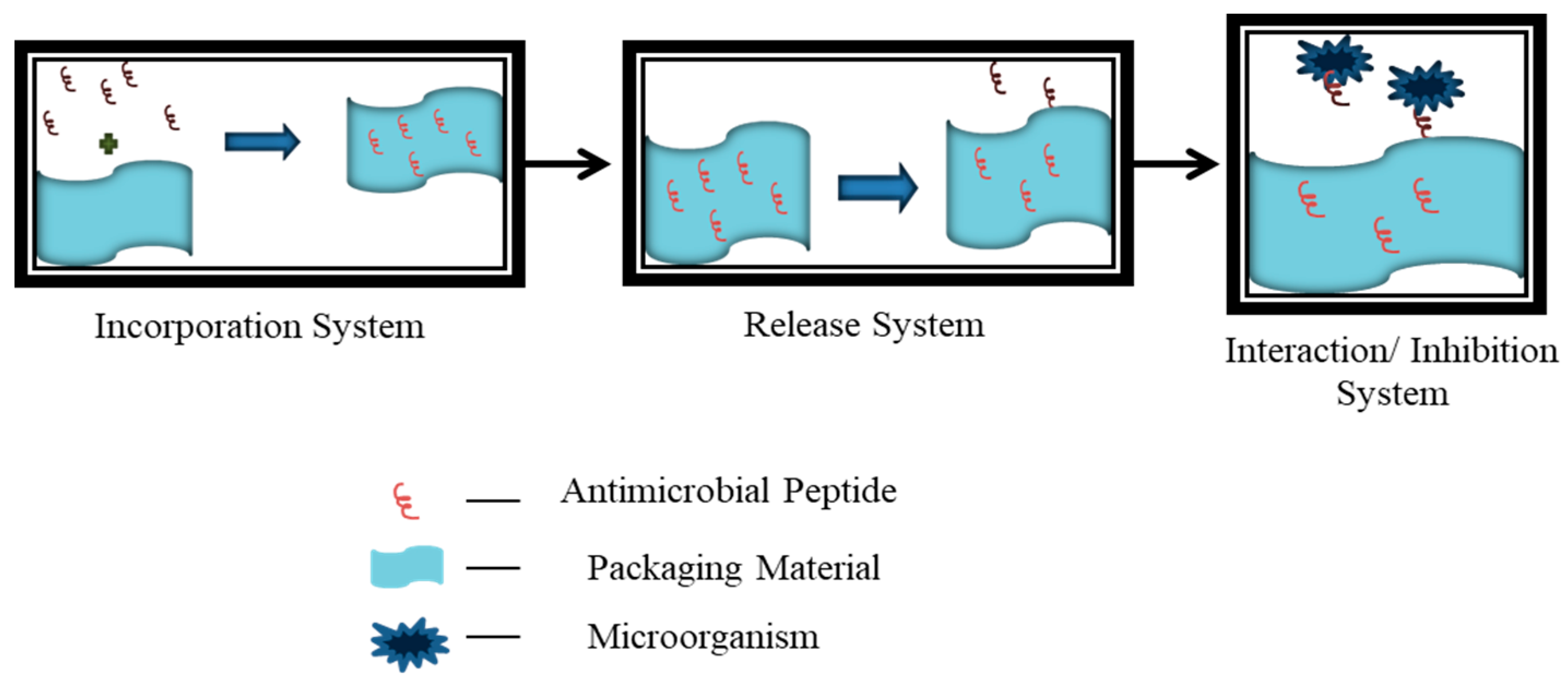 Applsci 11 06991 g007 Applsci 11 06991 g007