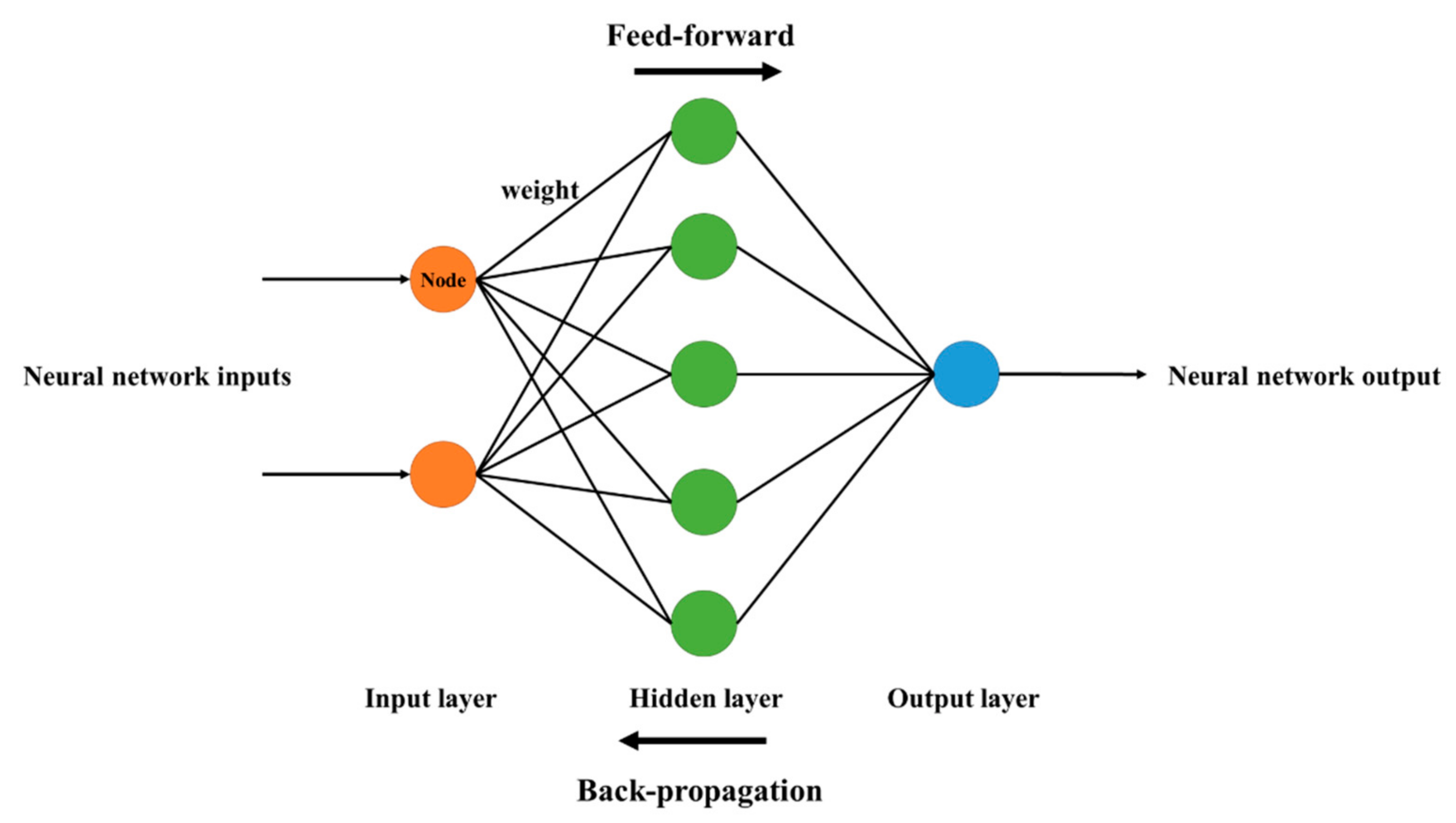 Feedforward network motifs are enriched investing Feedforward network motifs are enriched investing mark cuban favorite cryptocurrency