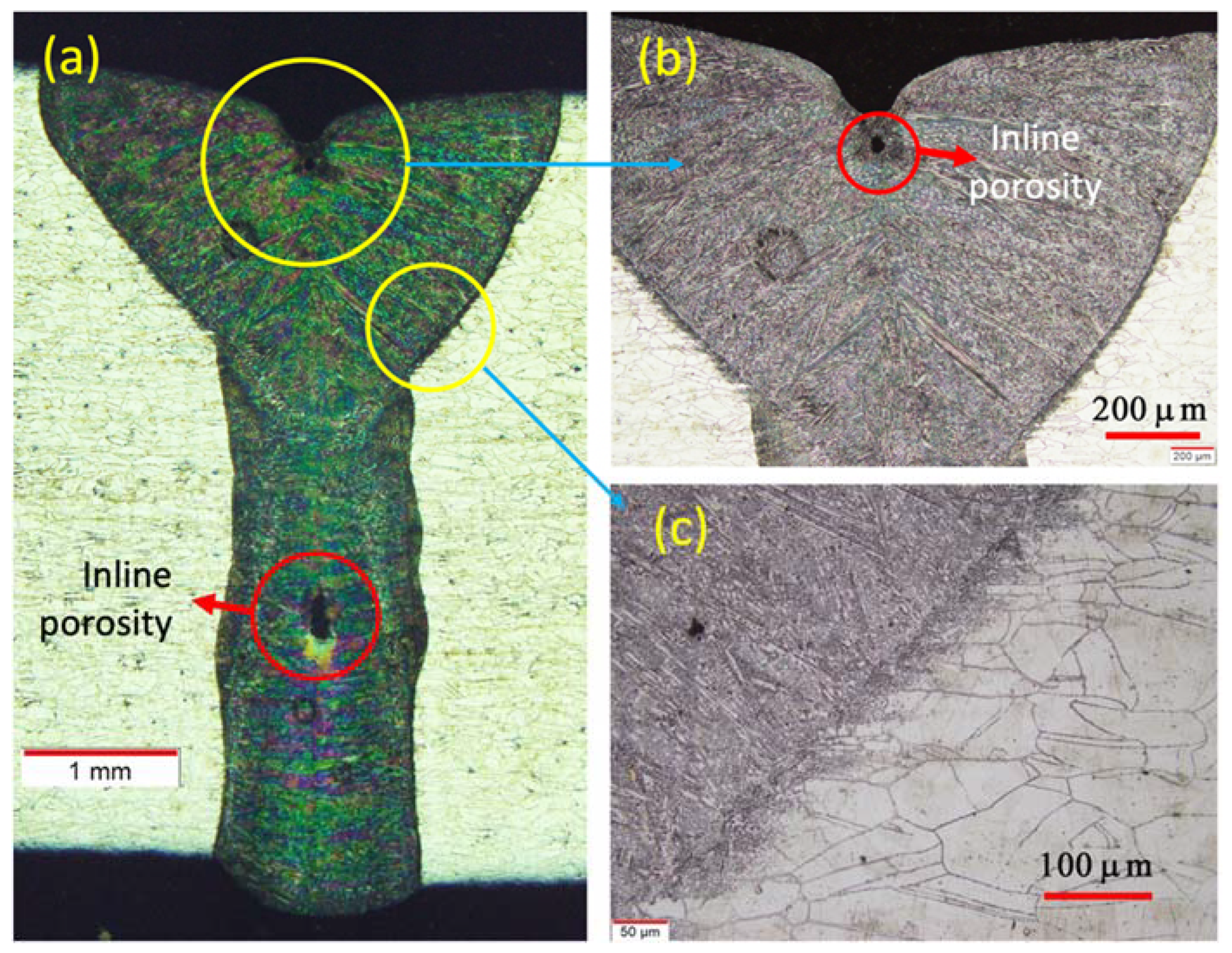 Applsci 11 07002 g007