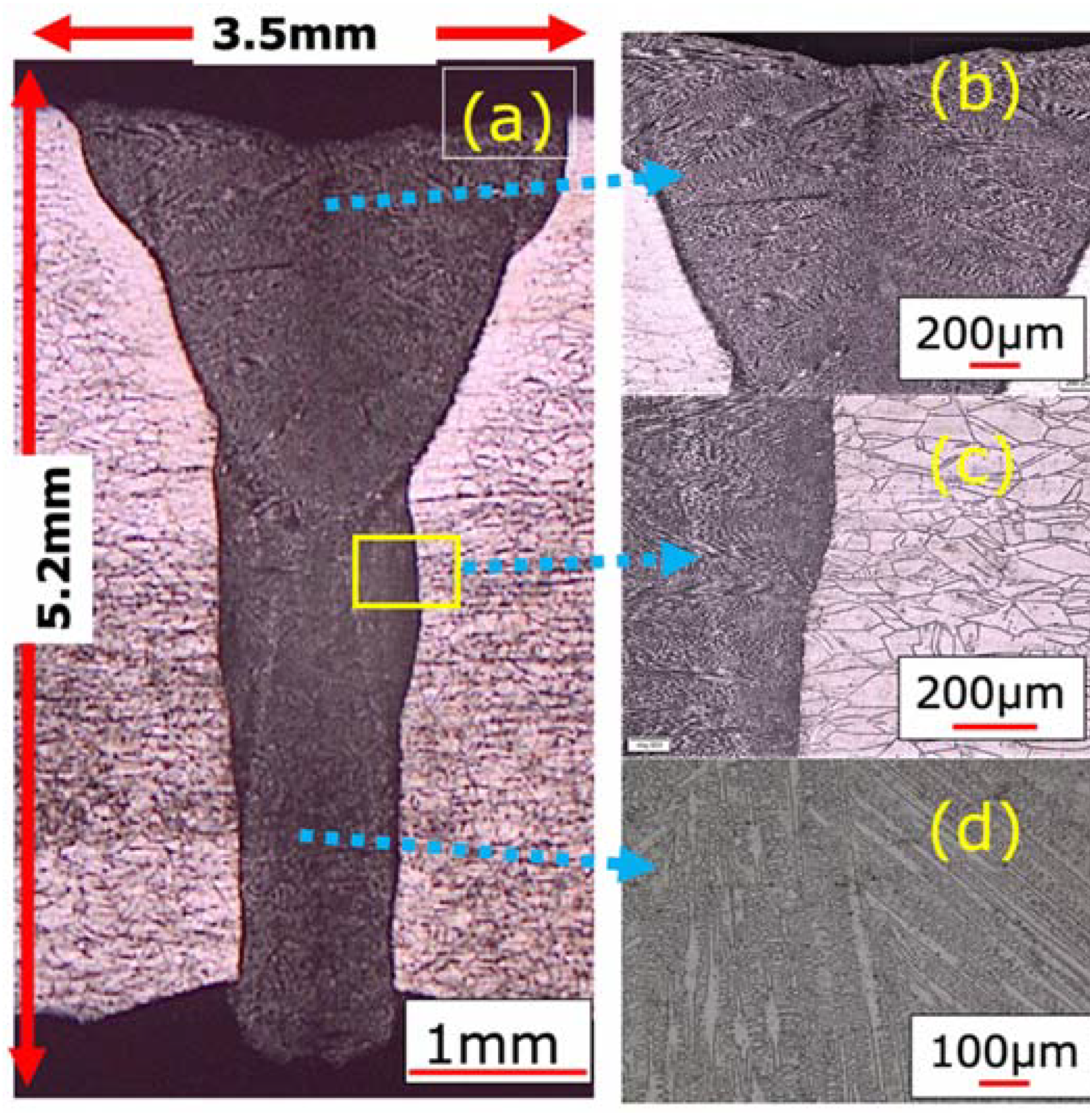 Applsci 11 07002 g008