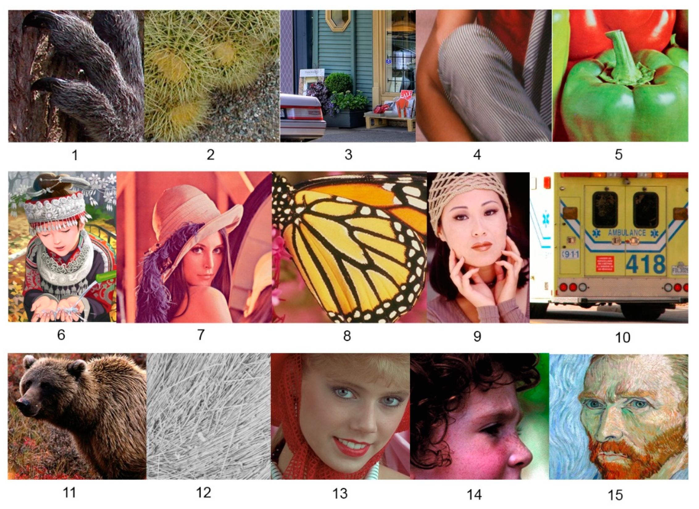 Applsci 11 07006 g006