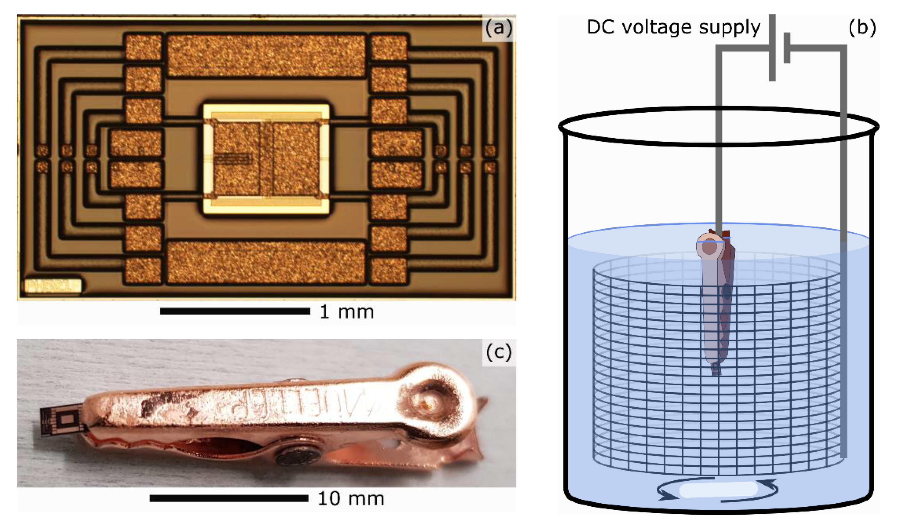 Applsci 11 07009 g001 Applsci 11 07009 g001