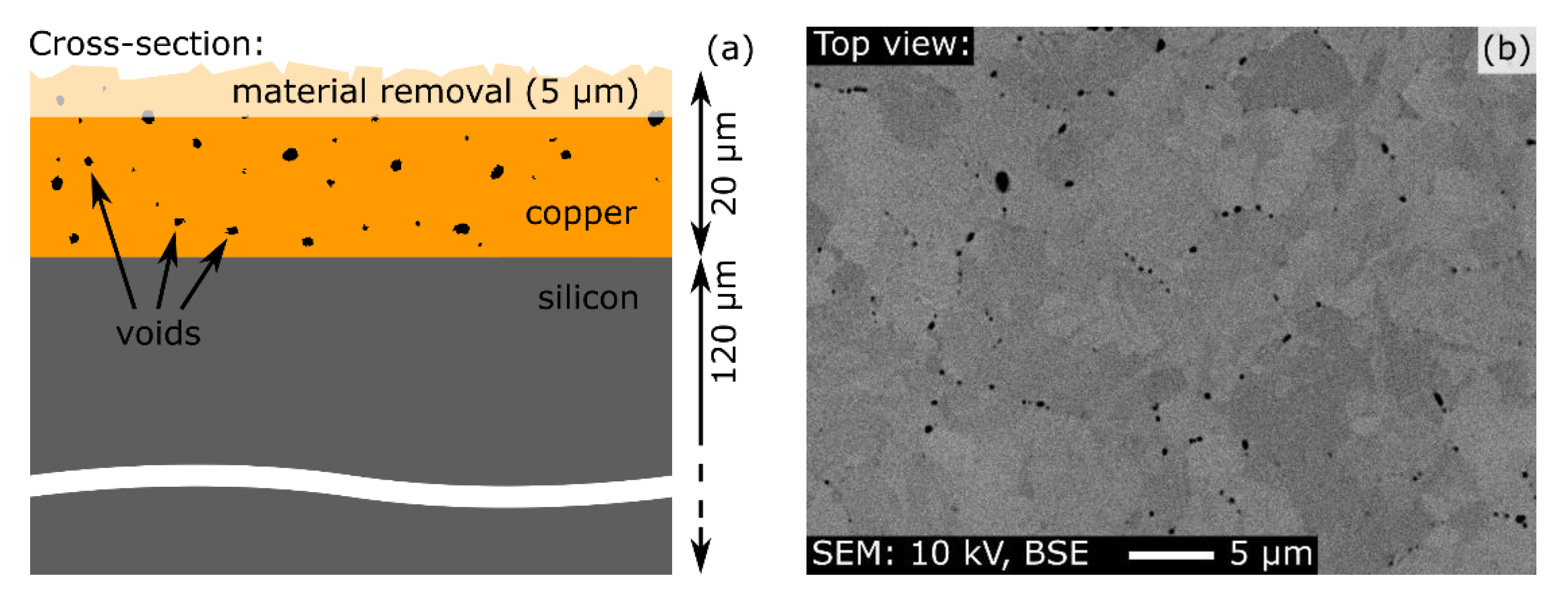 Applsci 11 07009 g004 Applsci 11 07009 g004