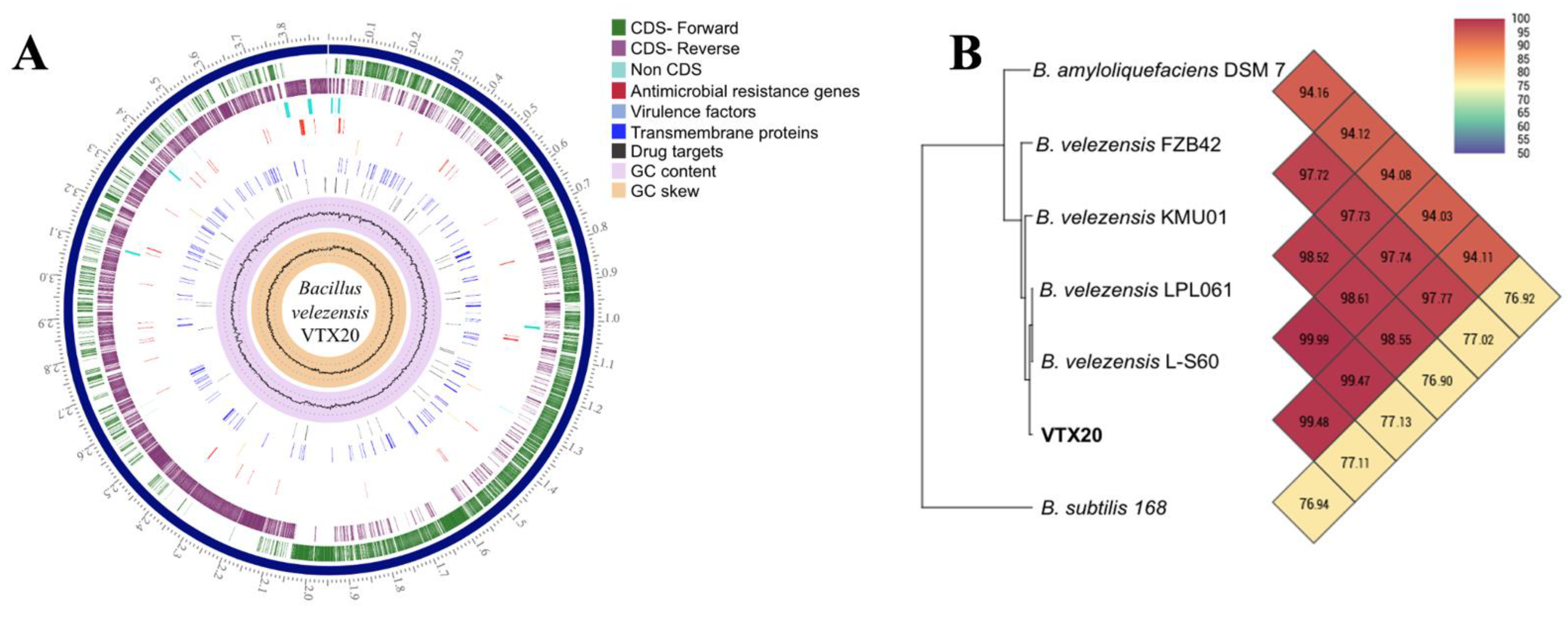 Applsci 11 07055 g003 550