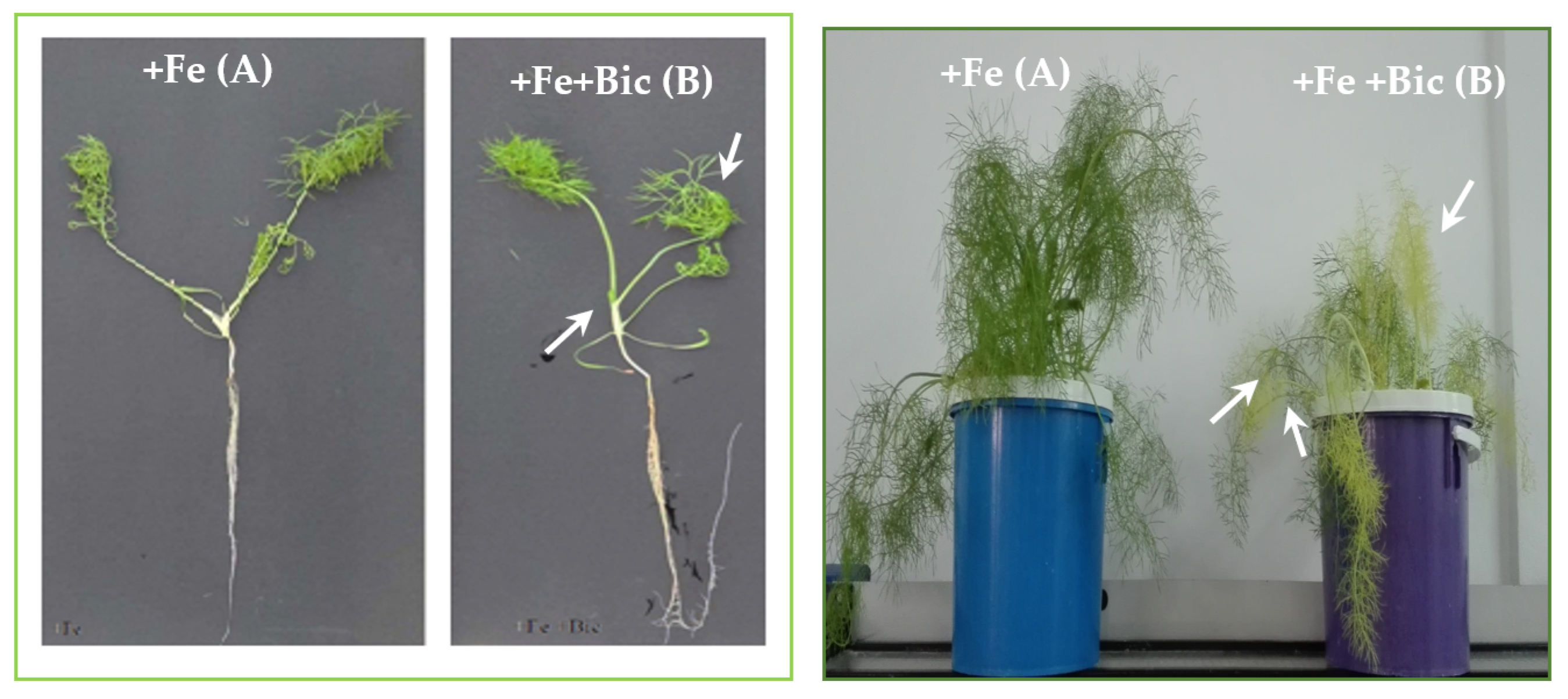 Applsci 11 07072 g001