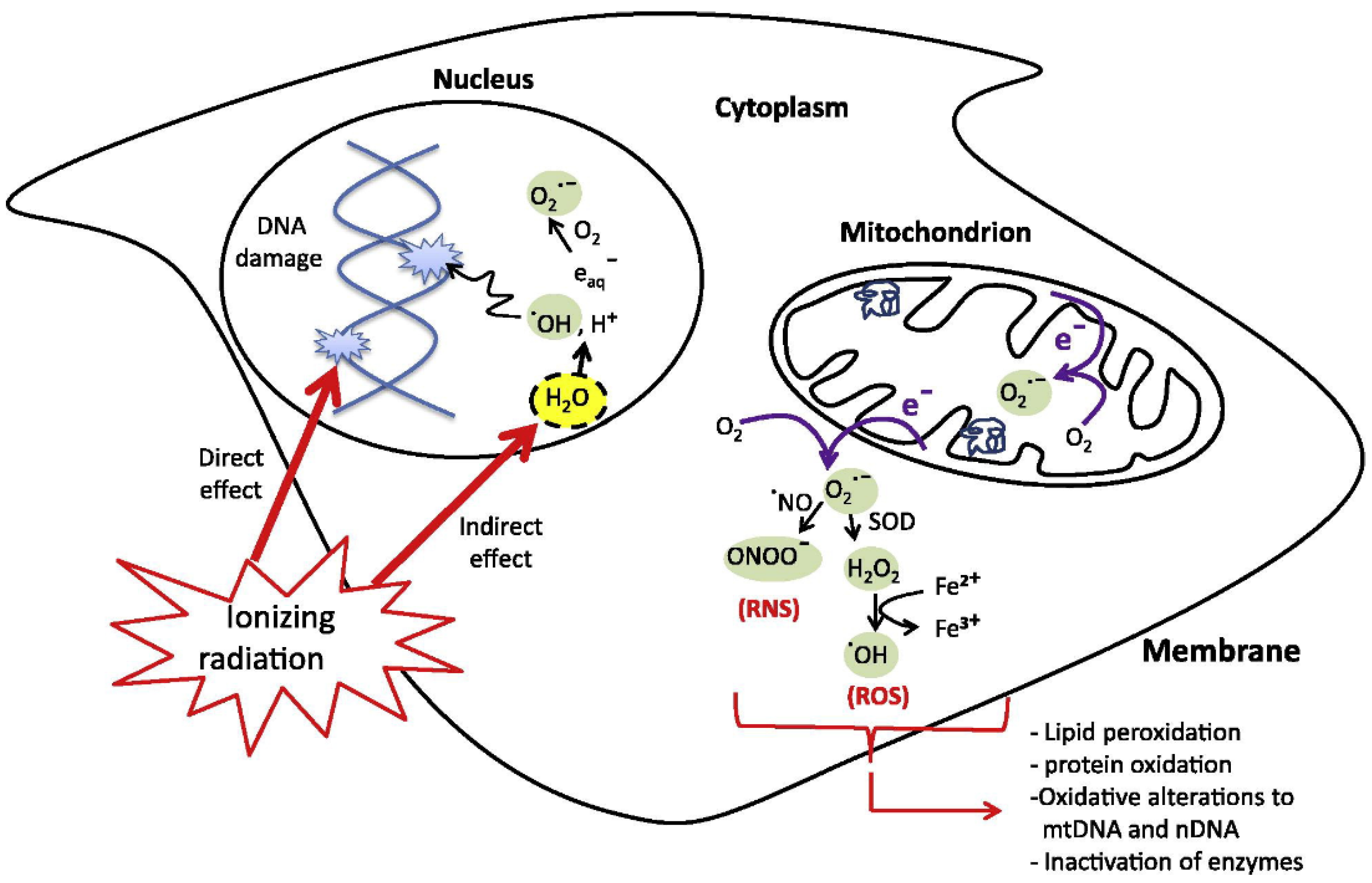 Applsci 11 07073 g001