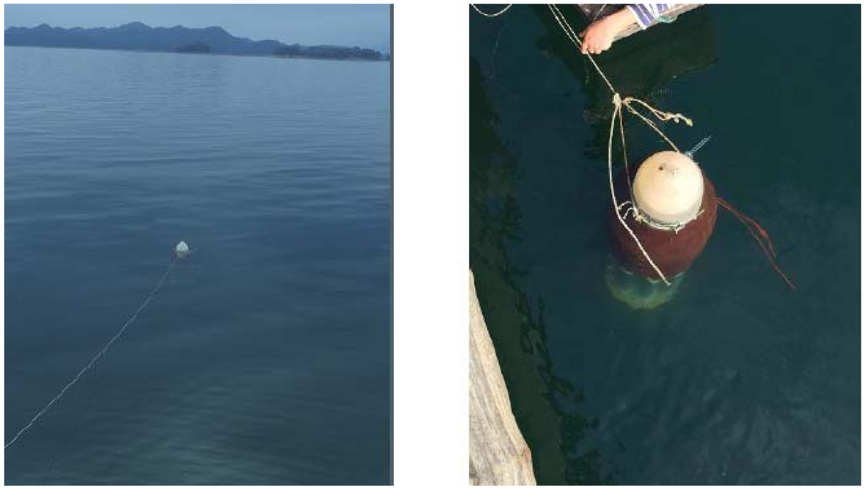 Applsci 11 07086 g007 550