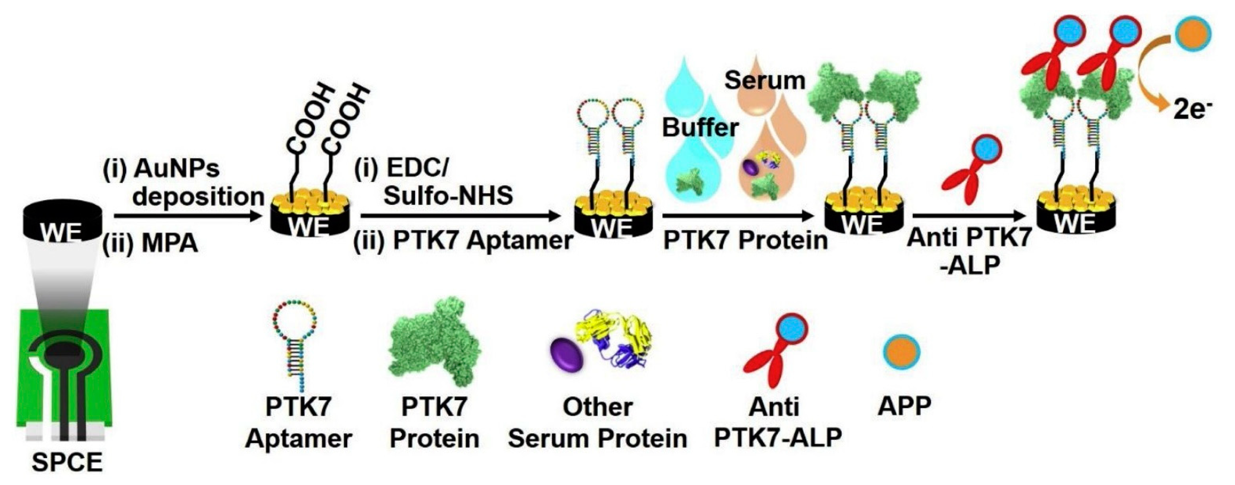 Applsci 11 07087 g007 550