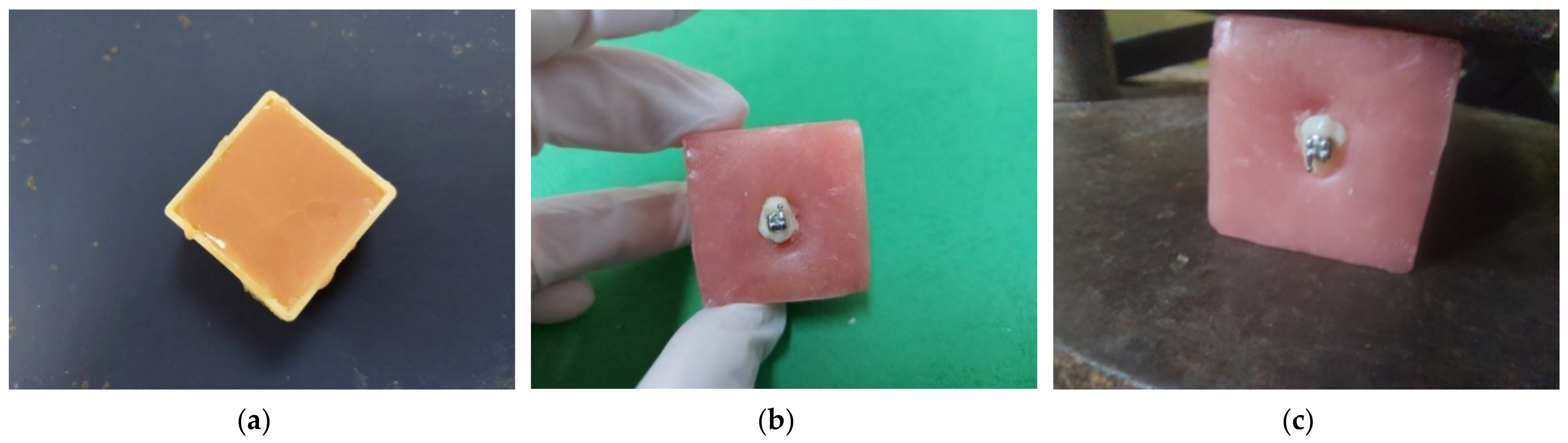 Applsci 11 07091 g001