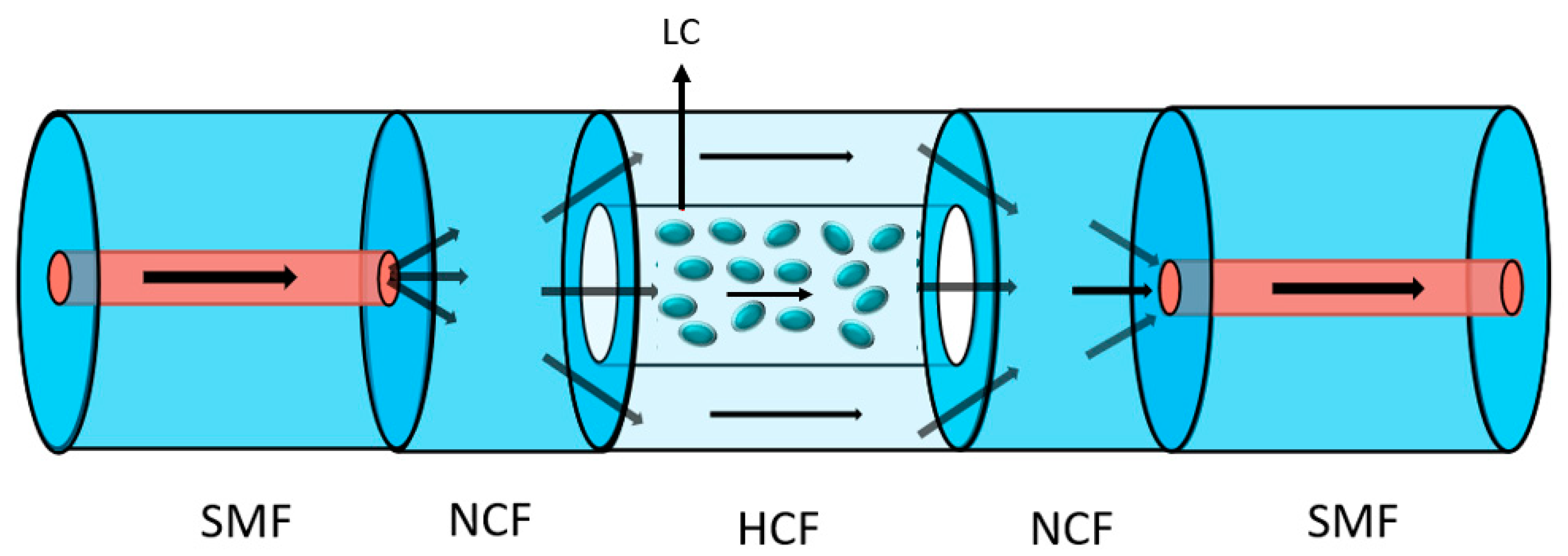 Applsci 11 07103 g001