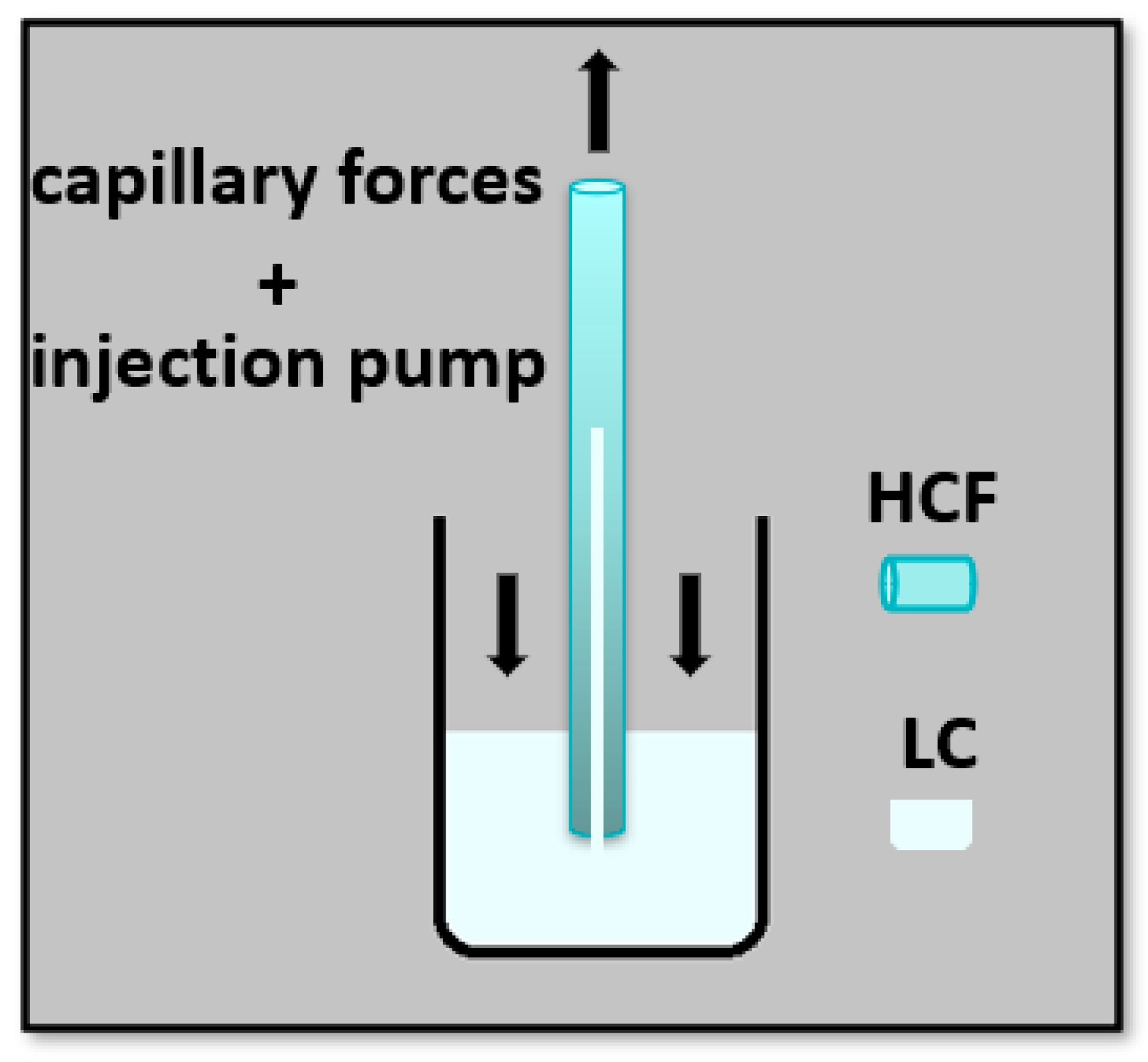 Applsci 11 07103 g003