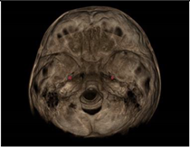 Applsci 11 07110 i001