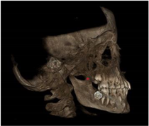 Applsci 11 07110 i005