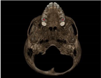 Applsci 11 07110 i006