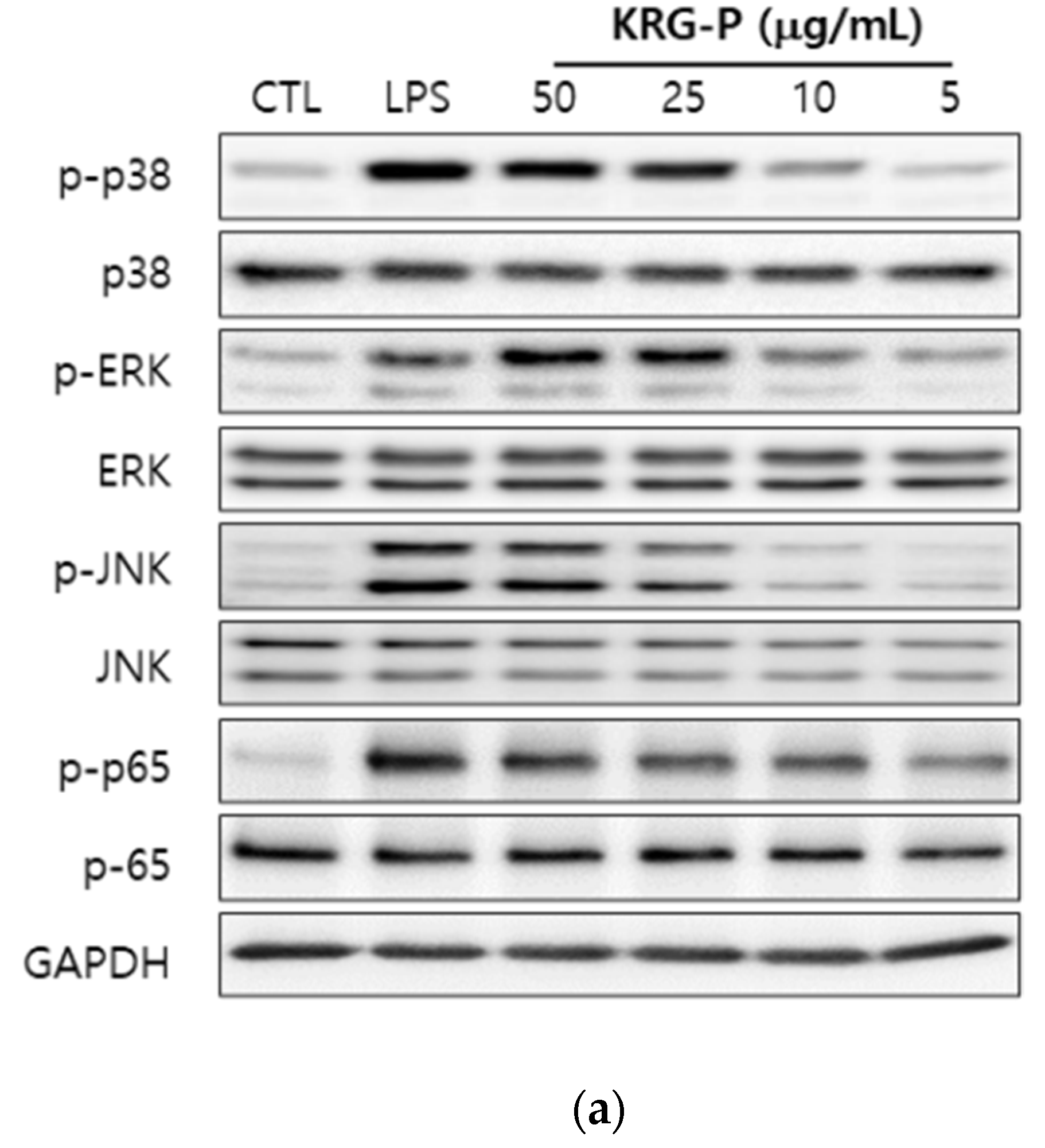Applsci 11 07111 g003a
