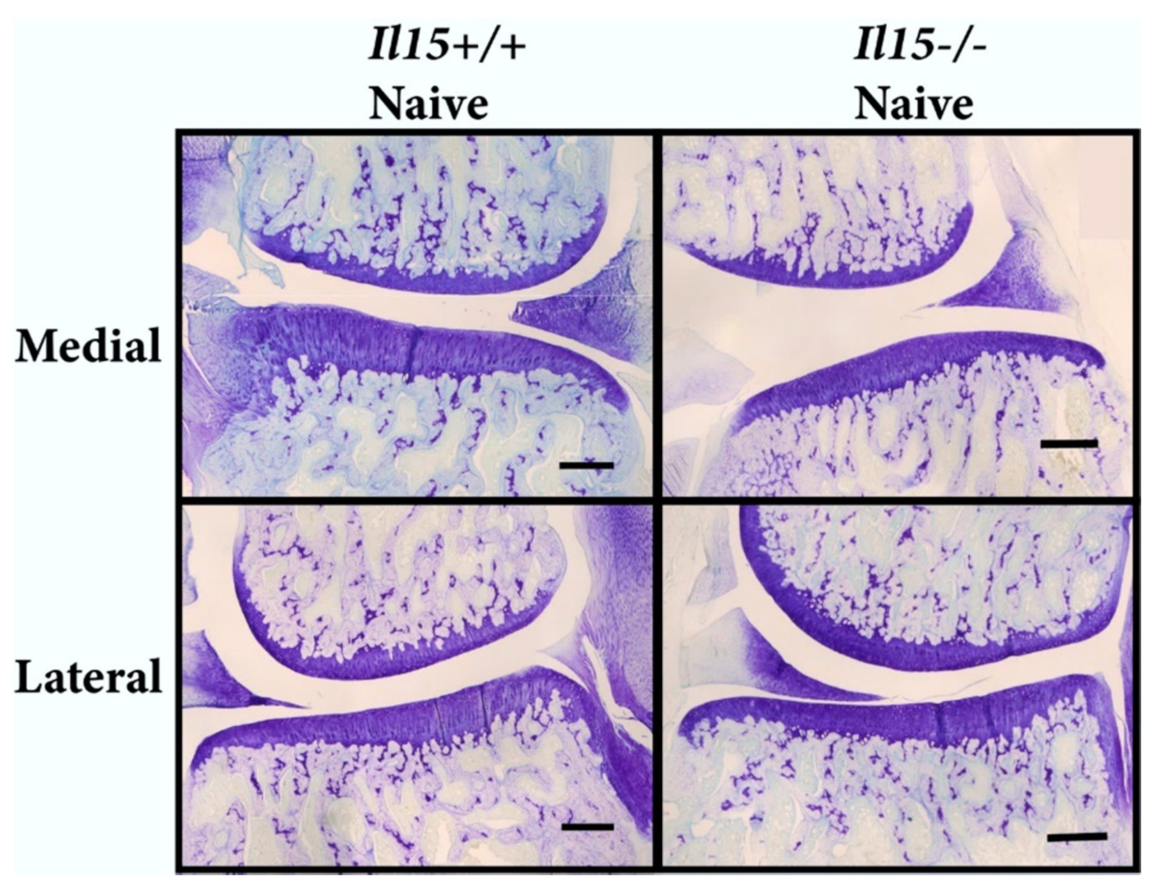 Applsci 11 07118 g004 550