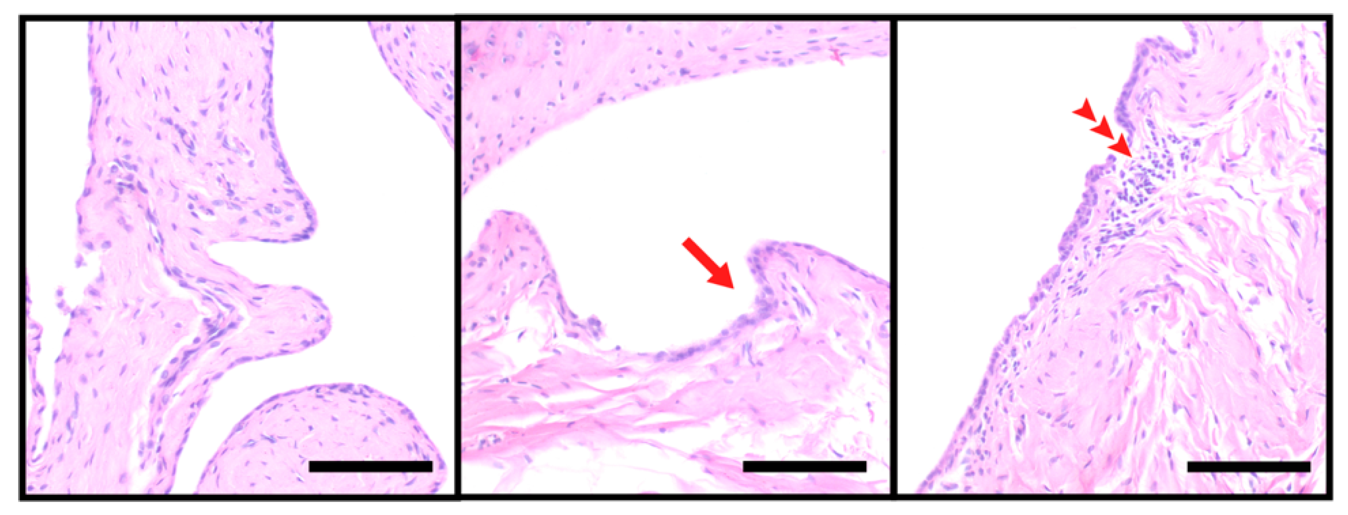 Applsci 11 07118 g008 550