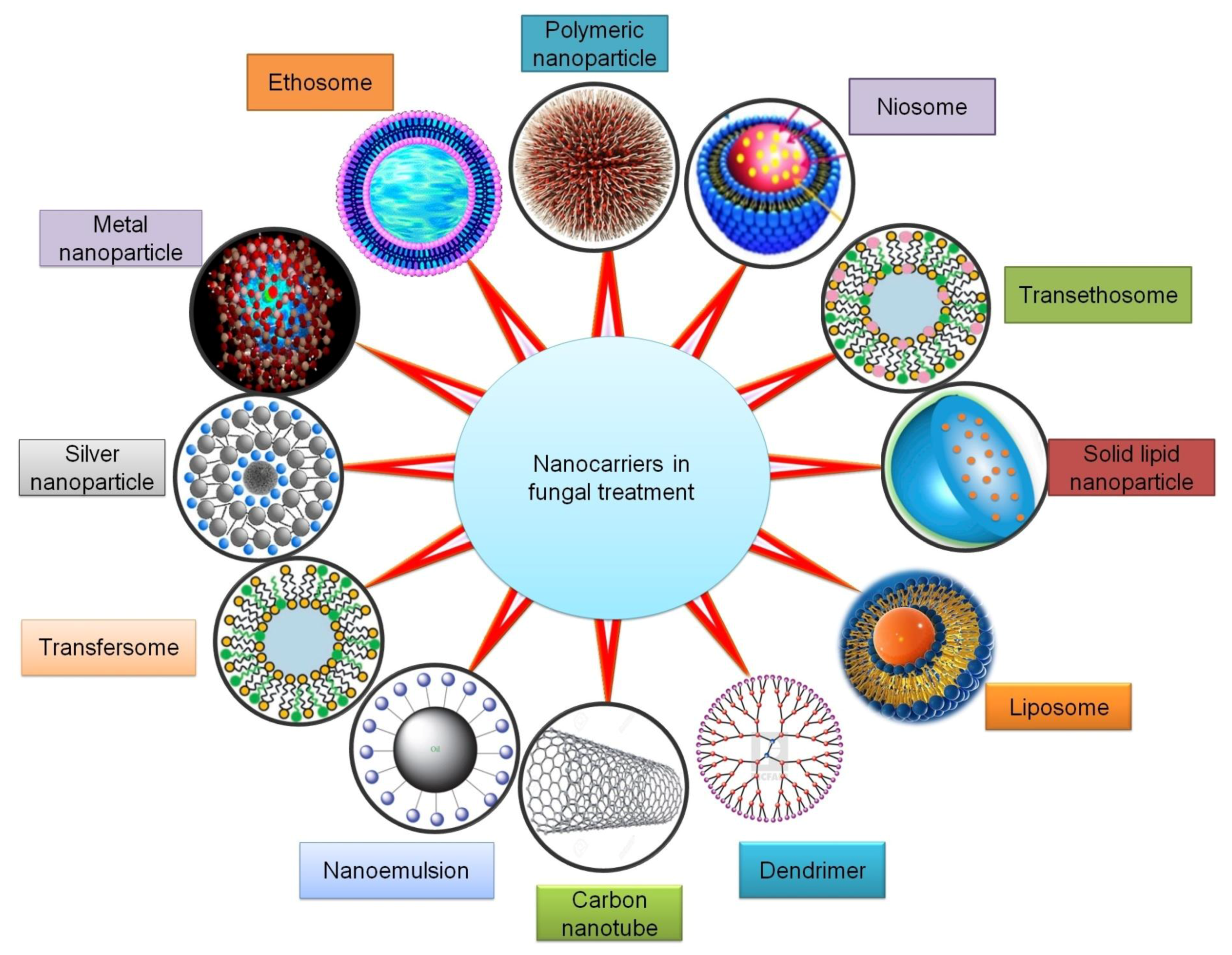 Applsci 11 07119 g002