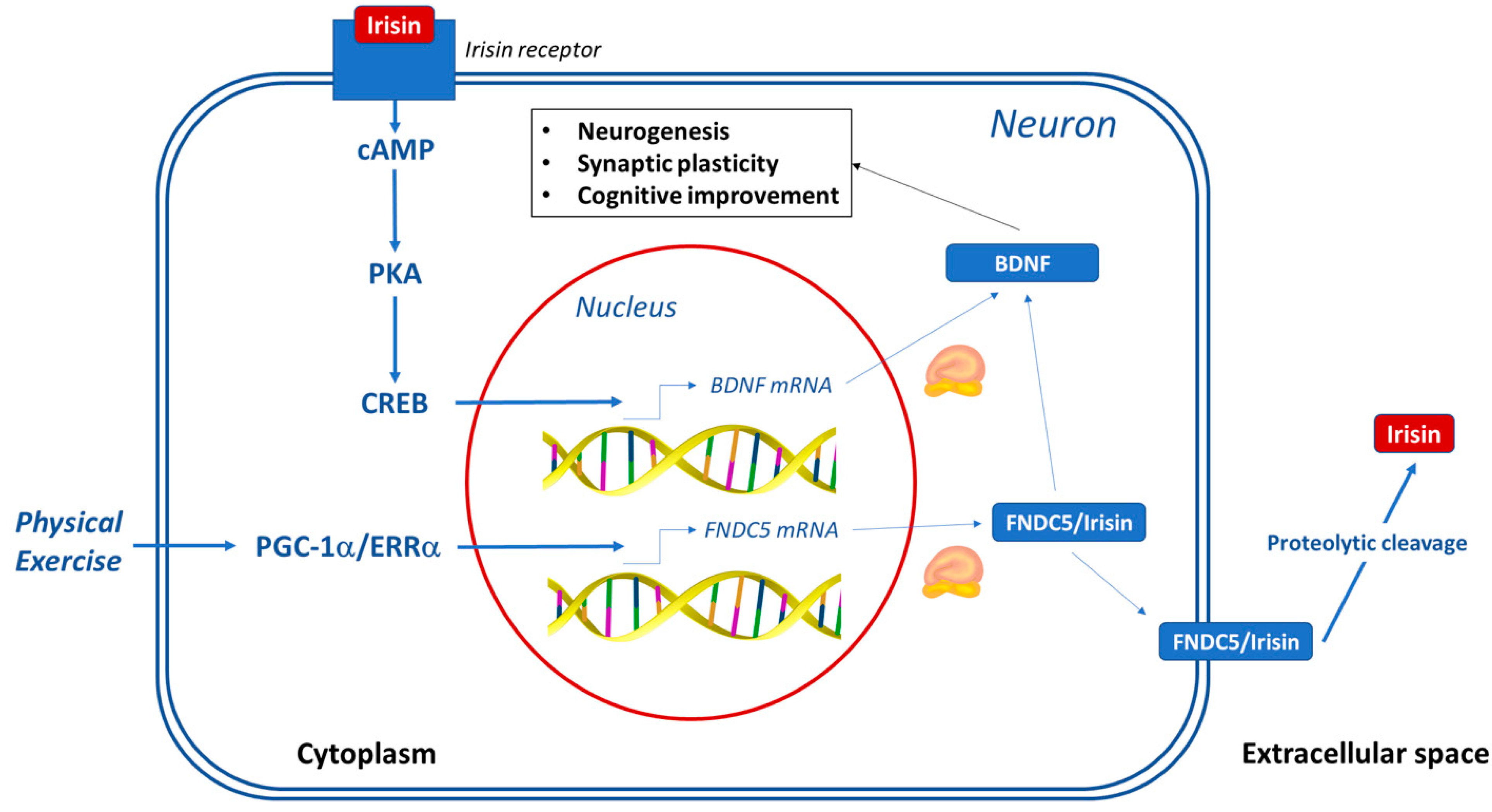 Applsci 11 07120 g003 Applsci 11 07120 g003