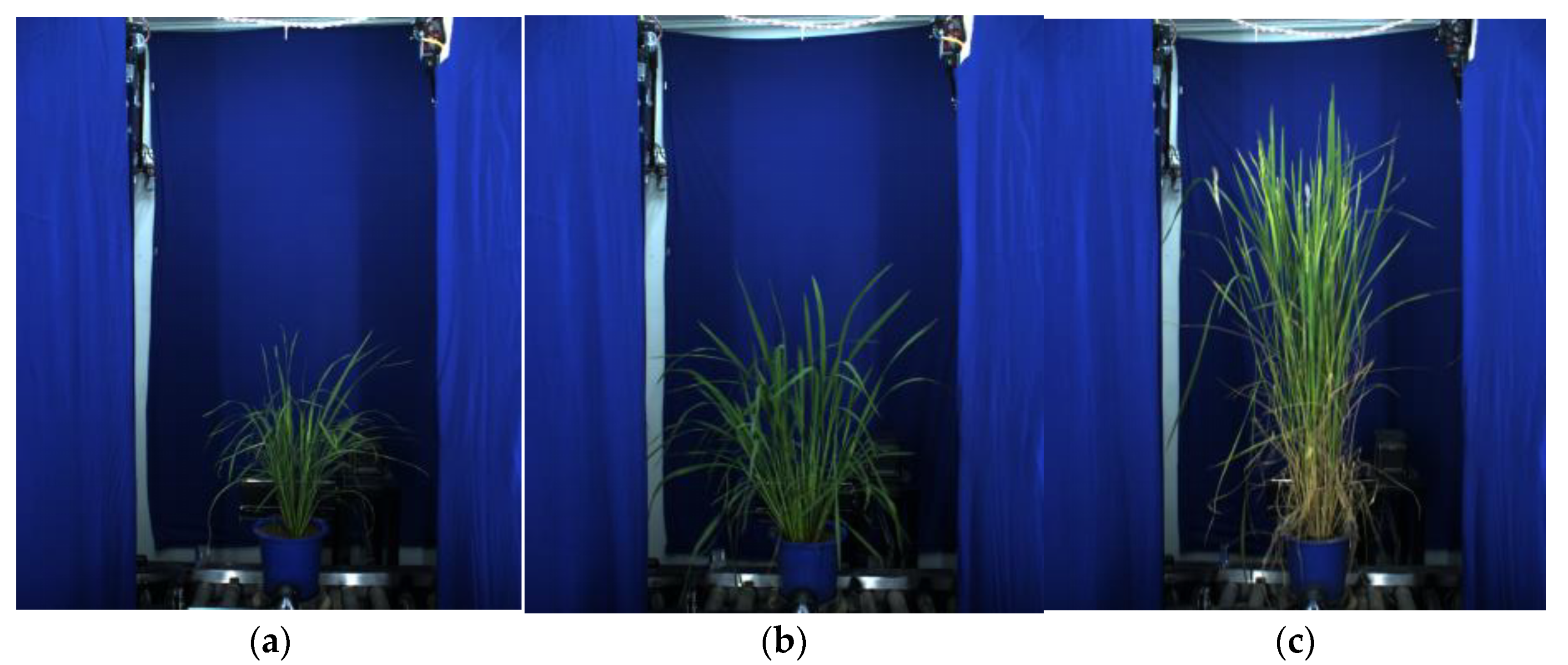 Applsci 11 07151 g001 550