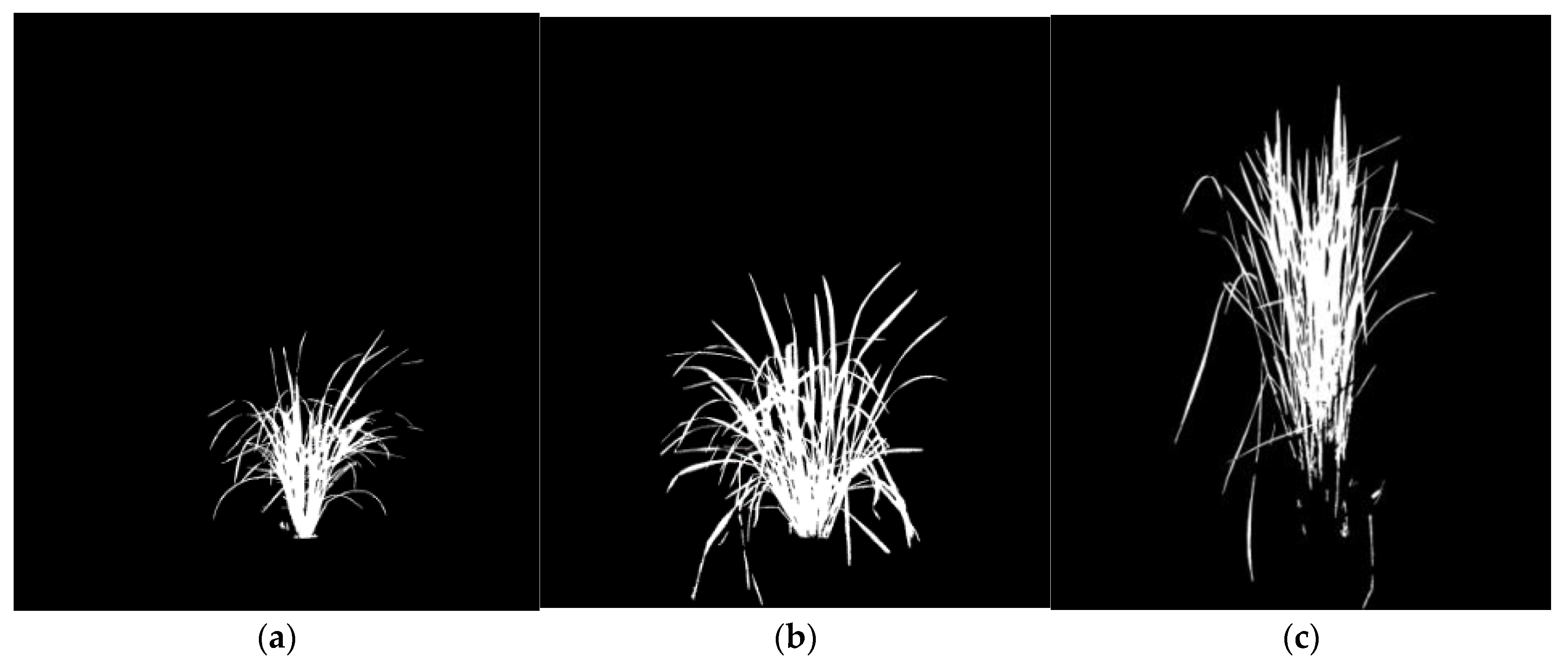 Applsci 11 07151 g002 550