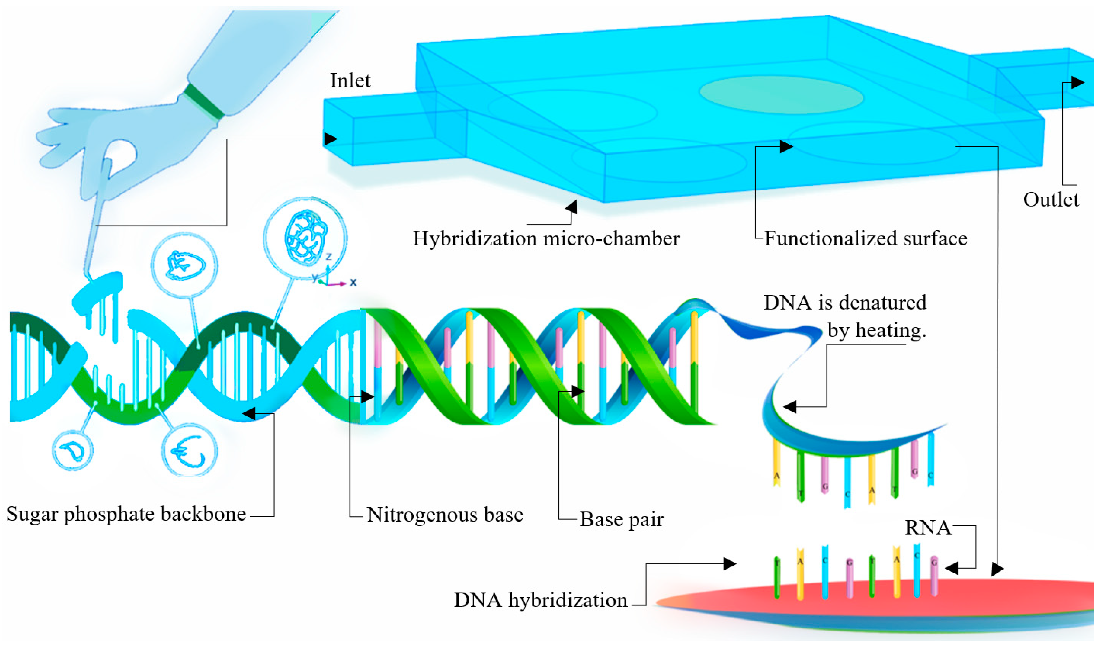 Applsci 11 07168 g001 550