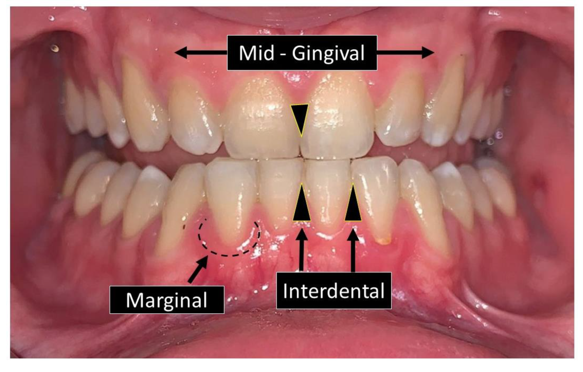 Applsci 11 07180 g004