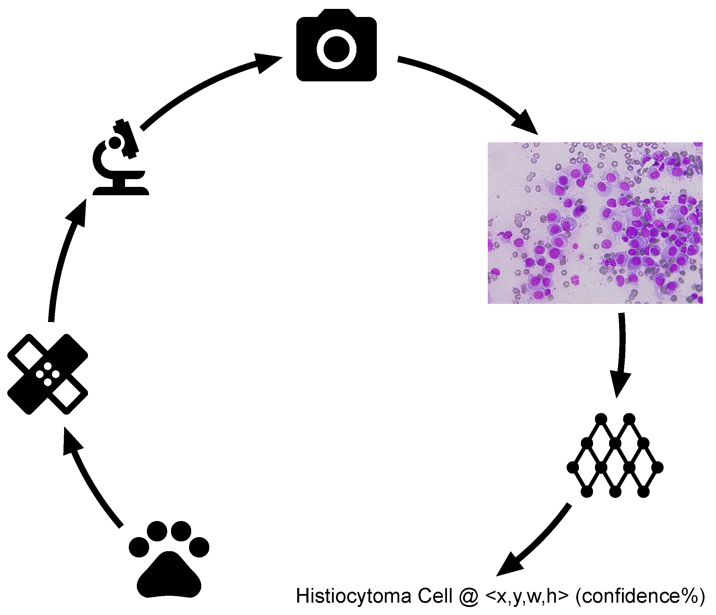 Applsci 11 07181 g001 550