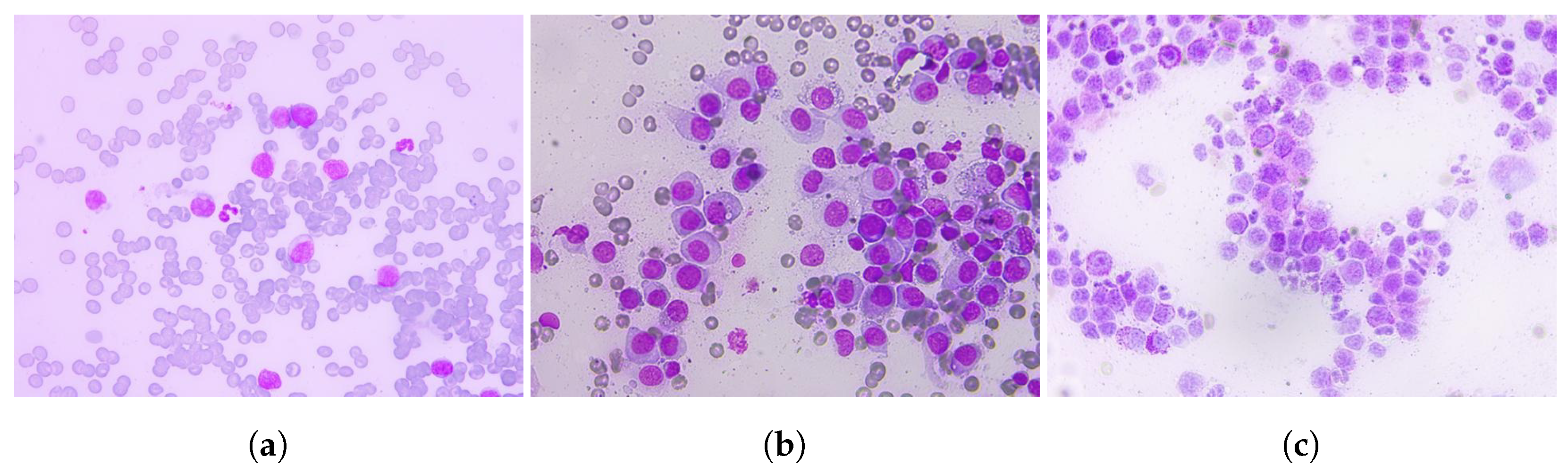 Applsci 11 07181 g003 550