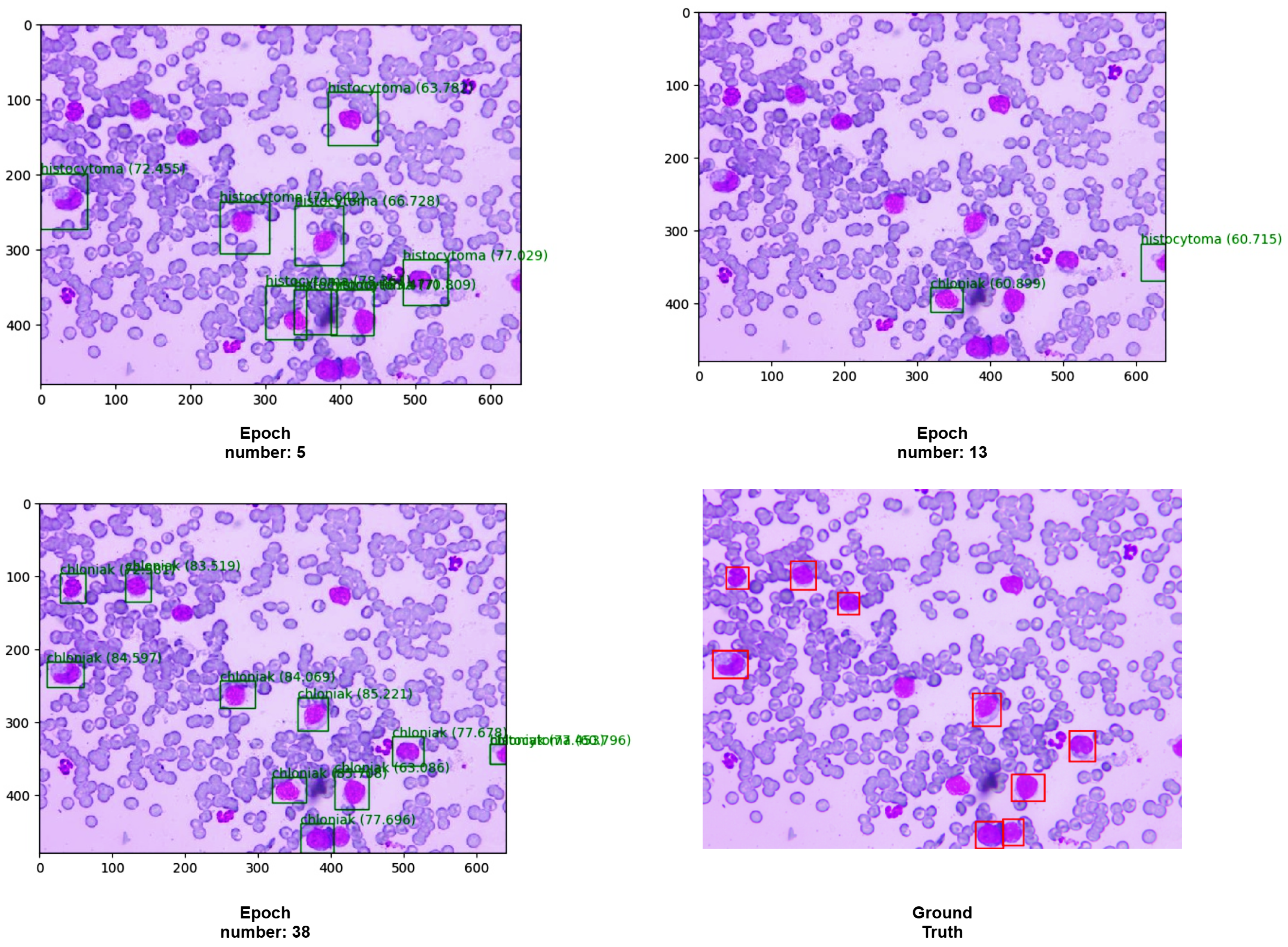 Applsci 11 07181 g011 550