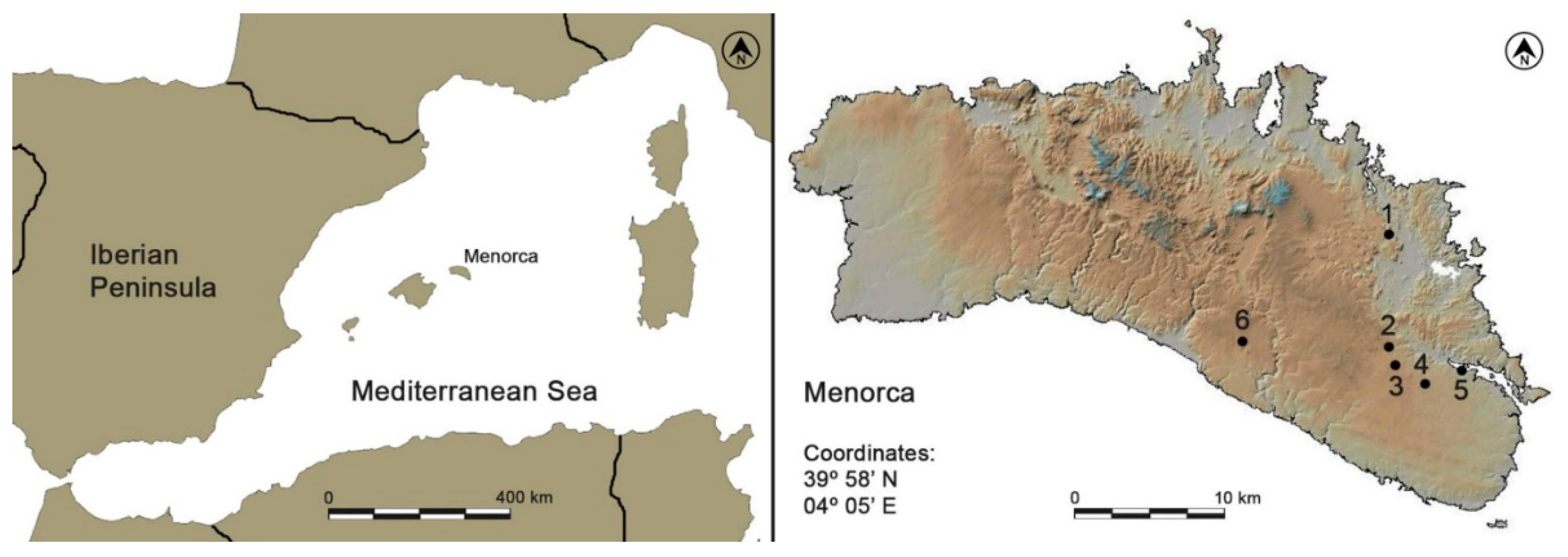 Applsci 11 07202 g001 Applsci 11 07202 g001