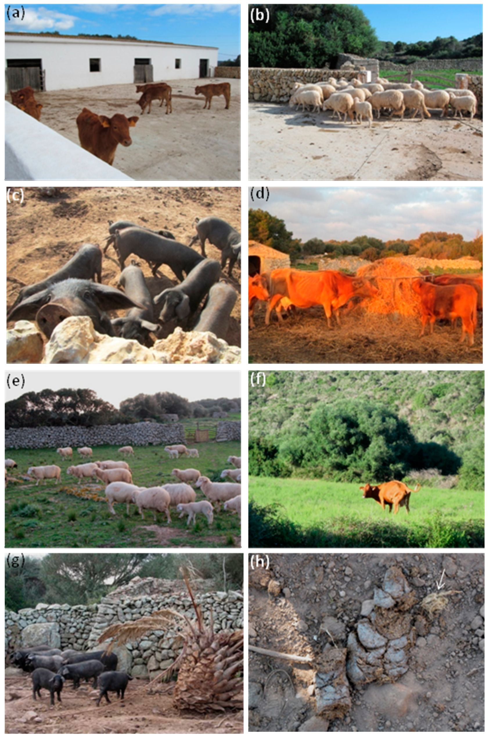 Applsci 11 07202 g002 Applsci 11 07202 g002