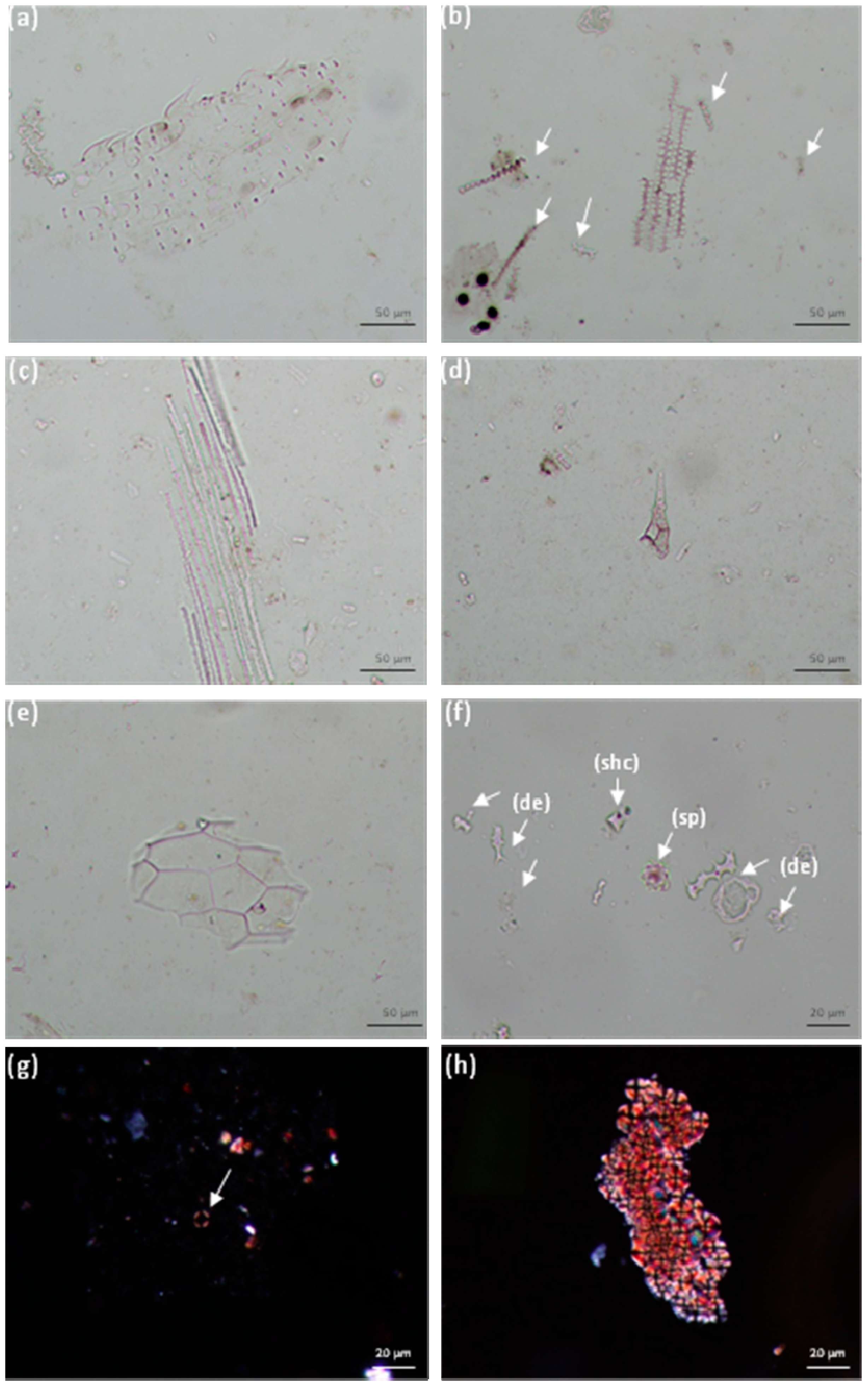 Applsci 11 07202 g006 Applsci 11 07202 g006
