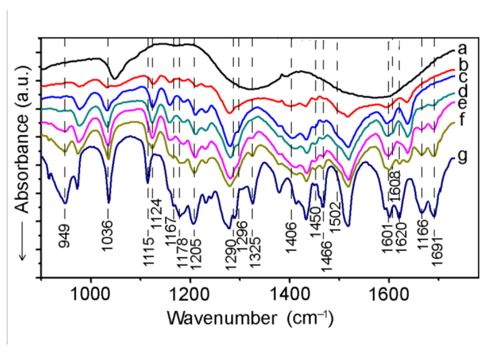 Applsci 11 07205 g004