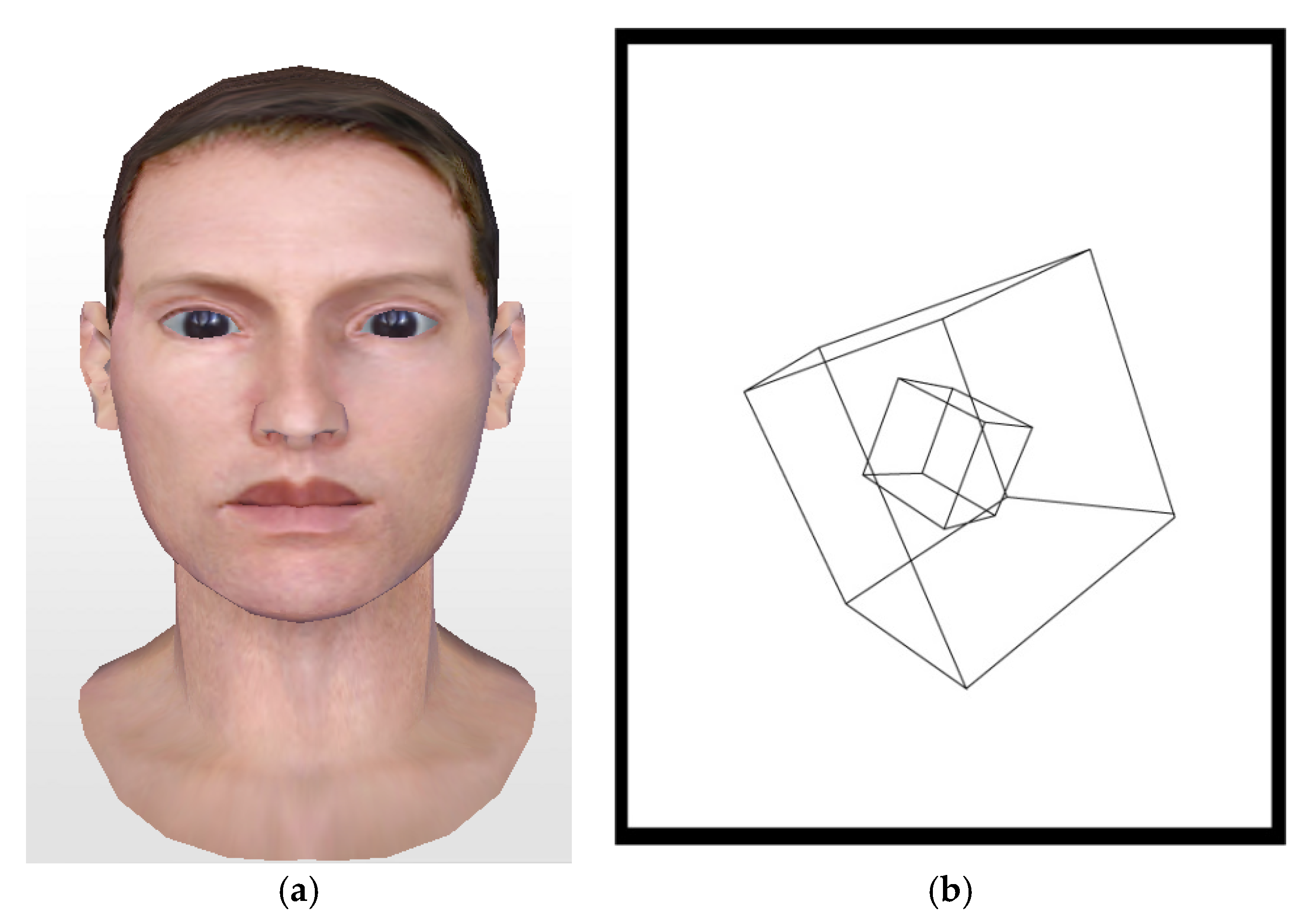 Applsci 11 07214 g002 550