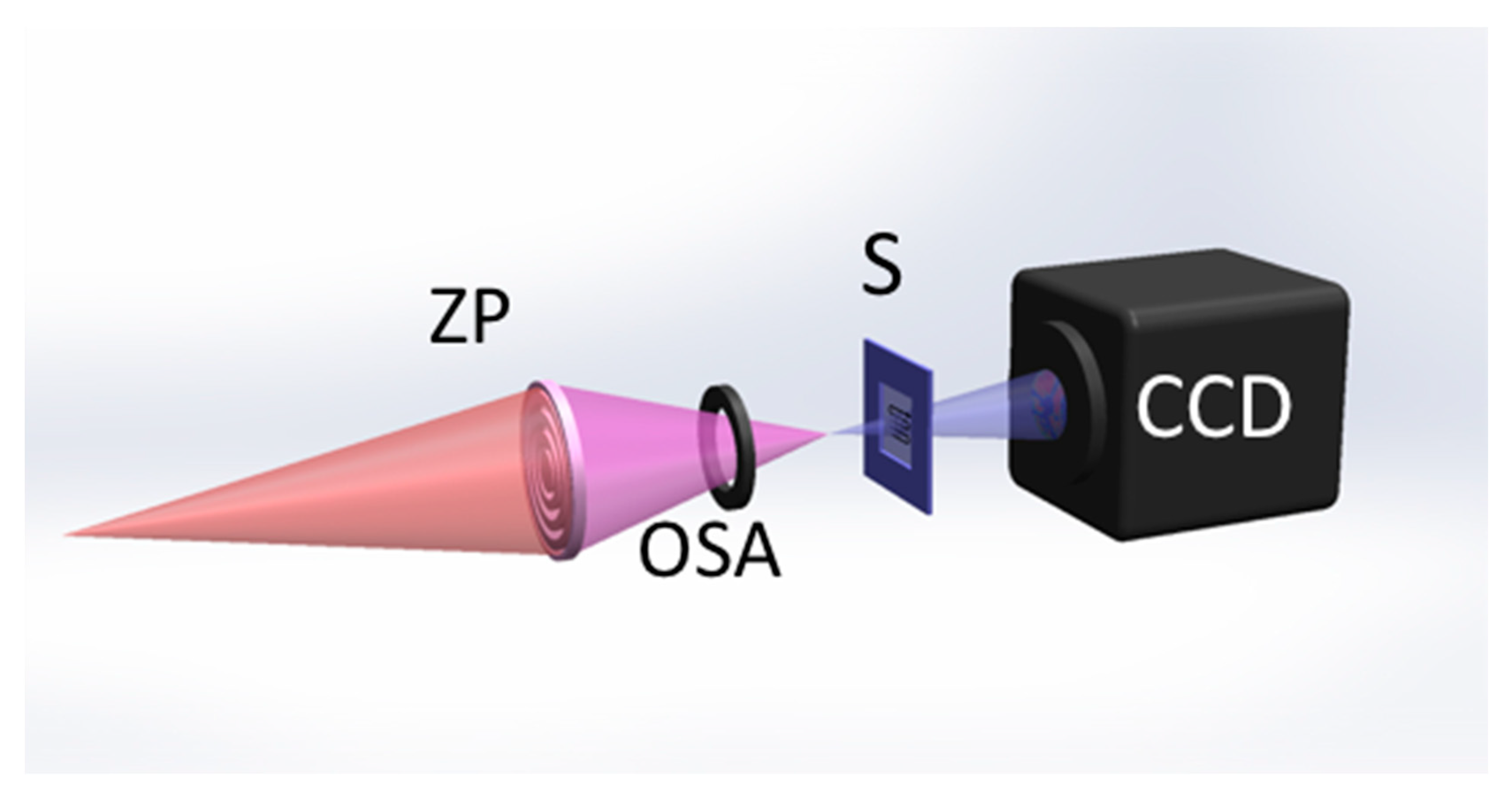 Applsci 11 07216 g004