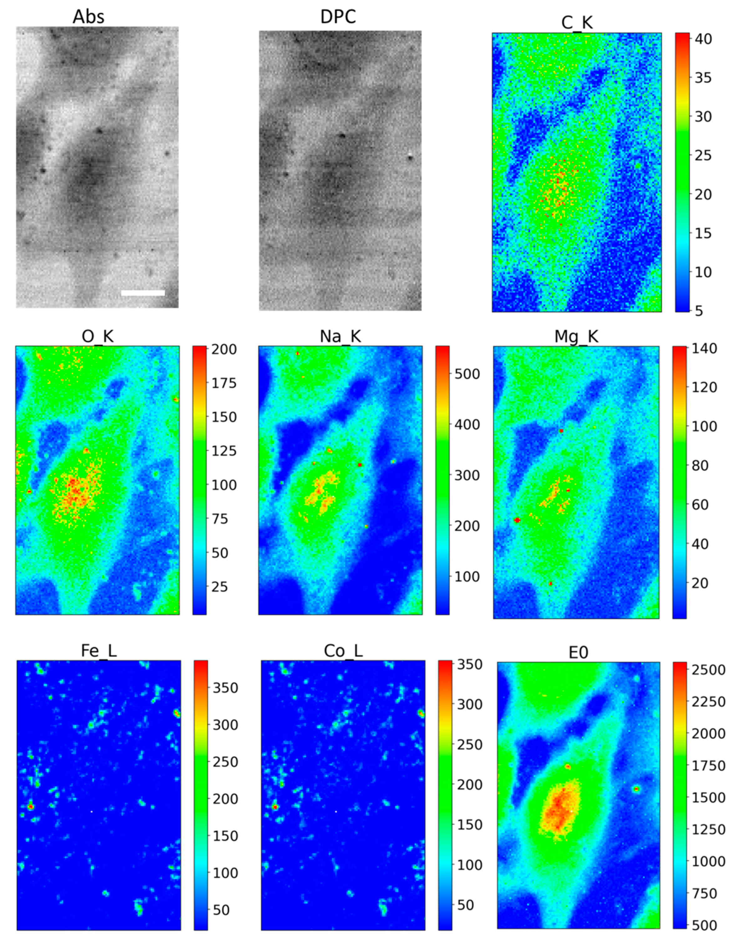 Applsci 11 07216 g005