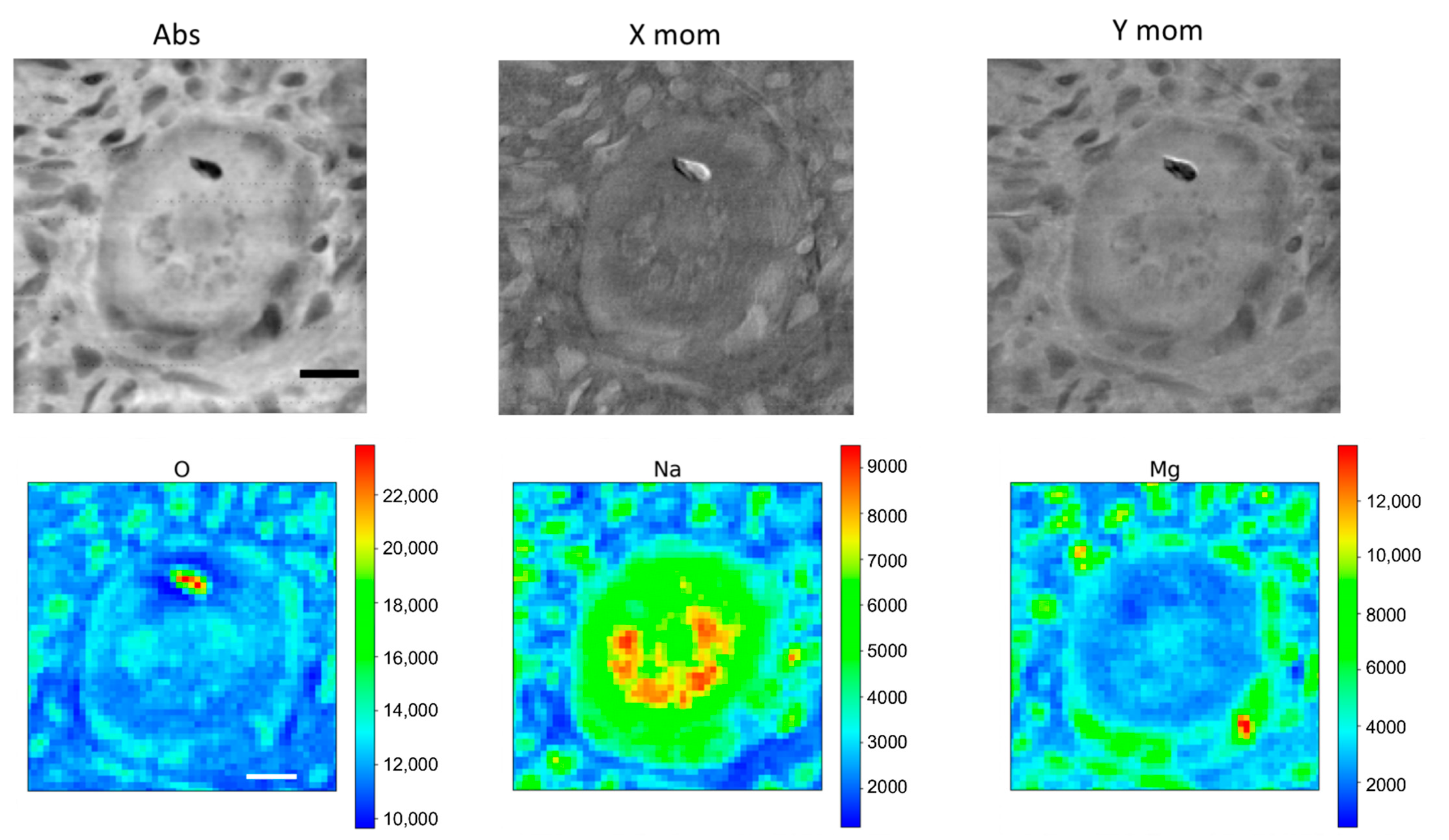 Applsci 11 07216 g006
