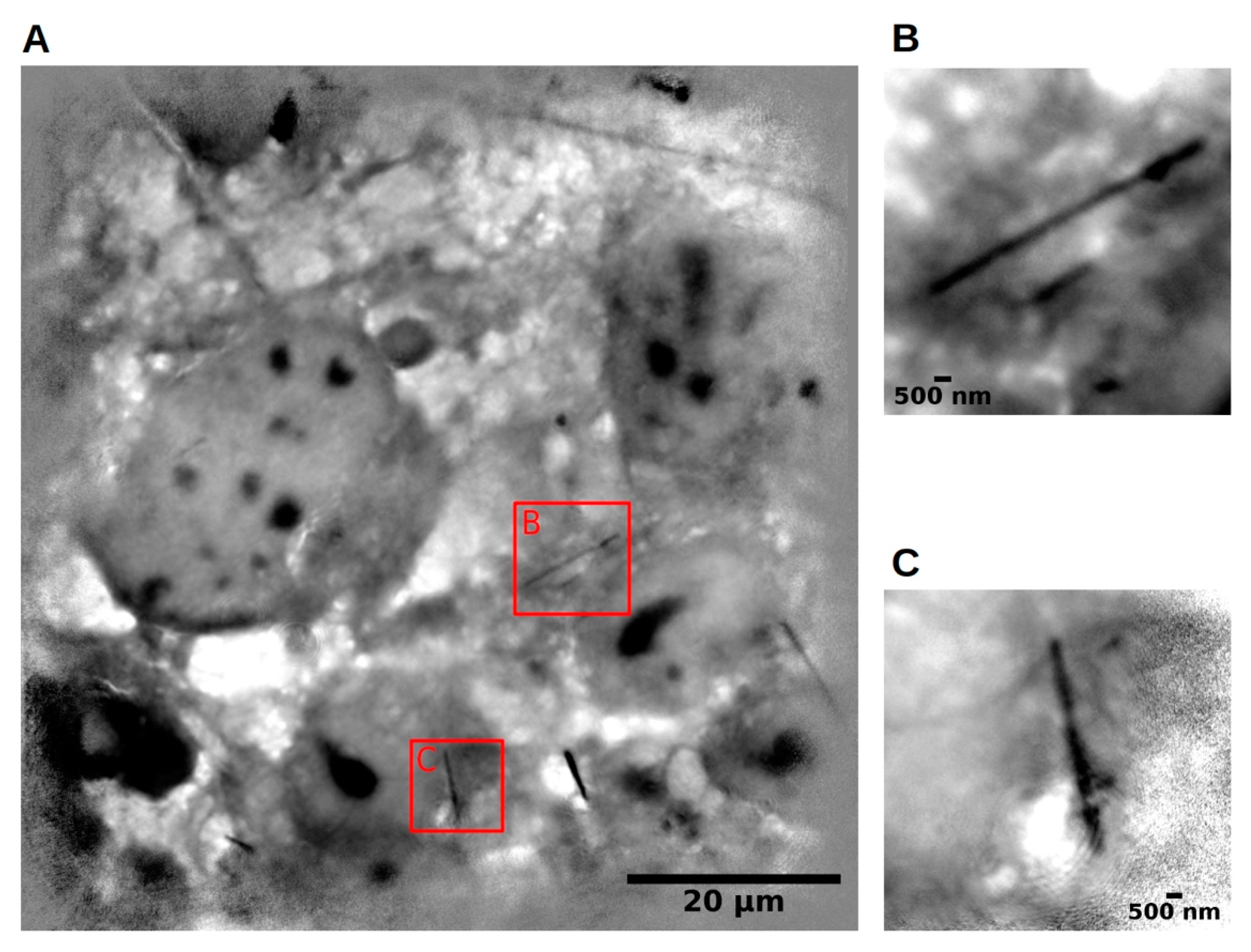 Applsci 11 07216 g008